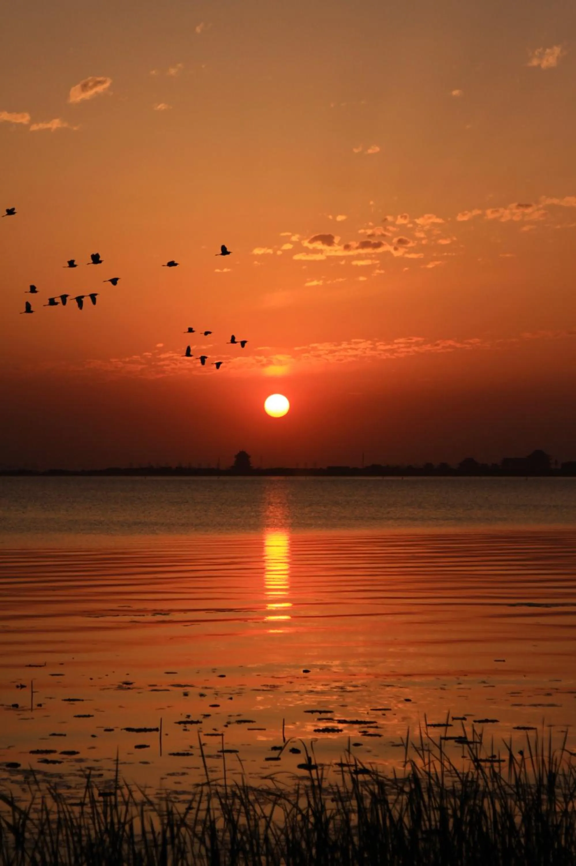 Sunset in Fairmont Yangcheng Lake