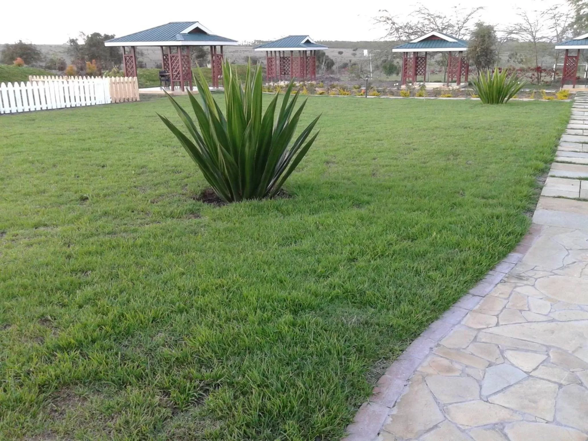 Garden in Tumaini Gardens