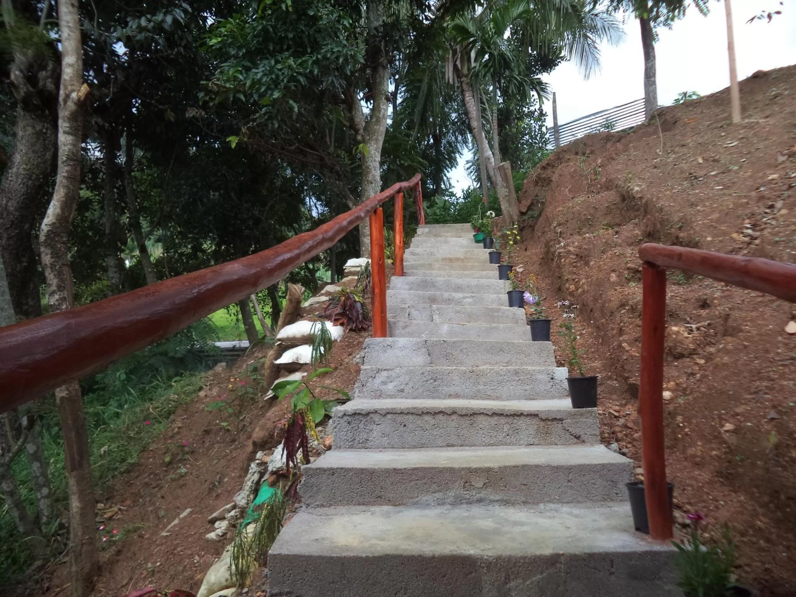 Other in Silent Nest