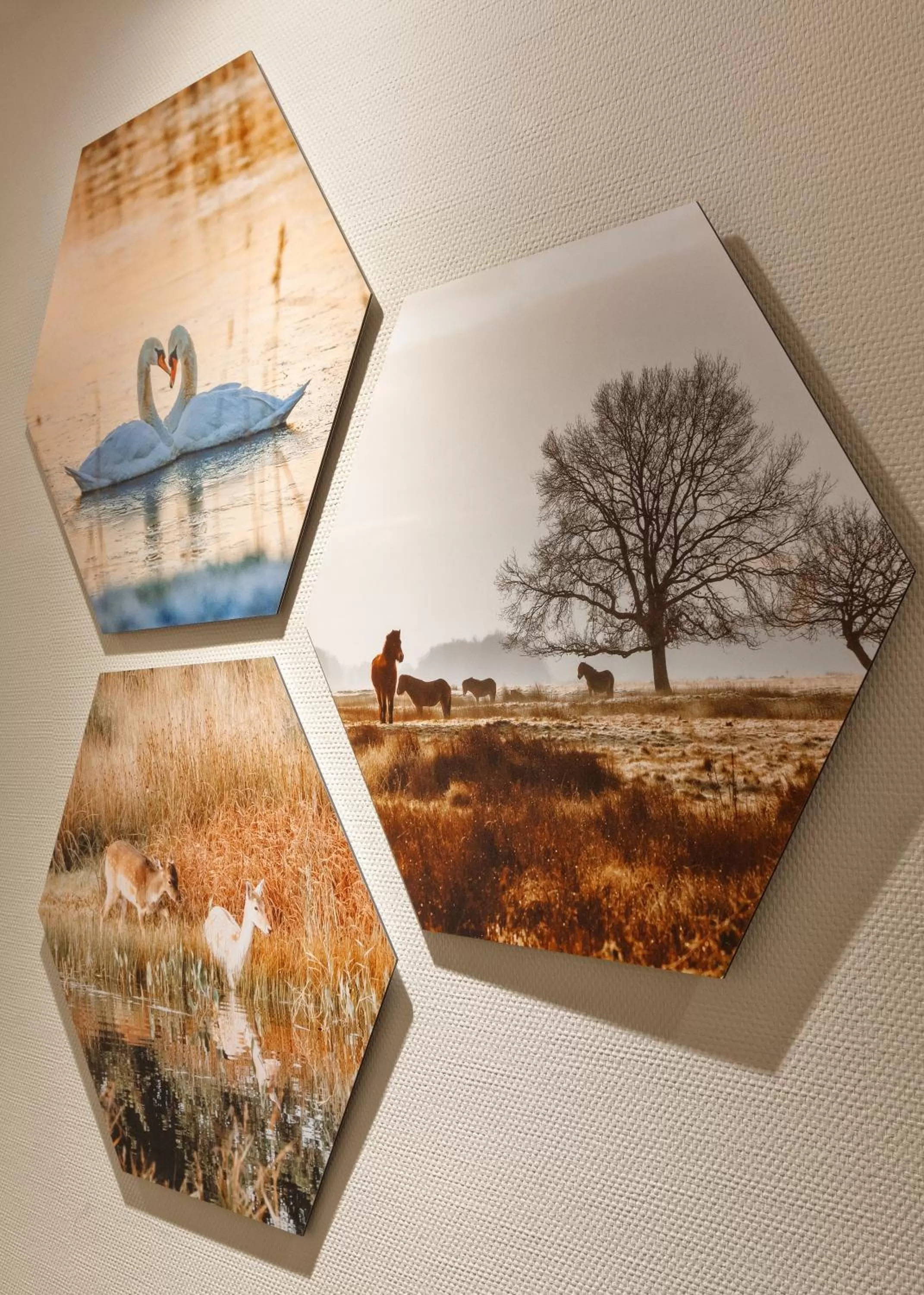 Property building in Hotel Karsten