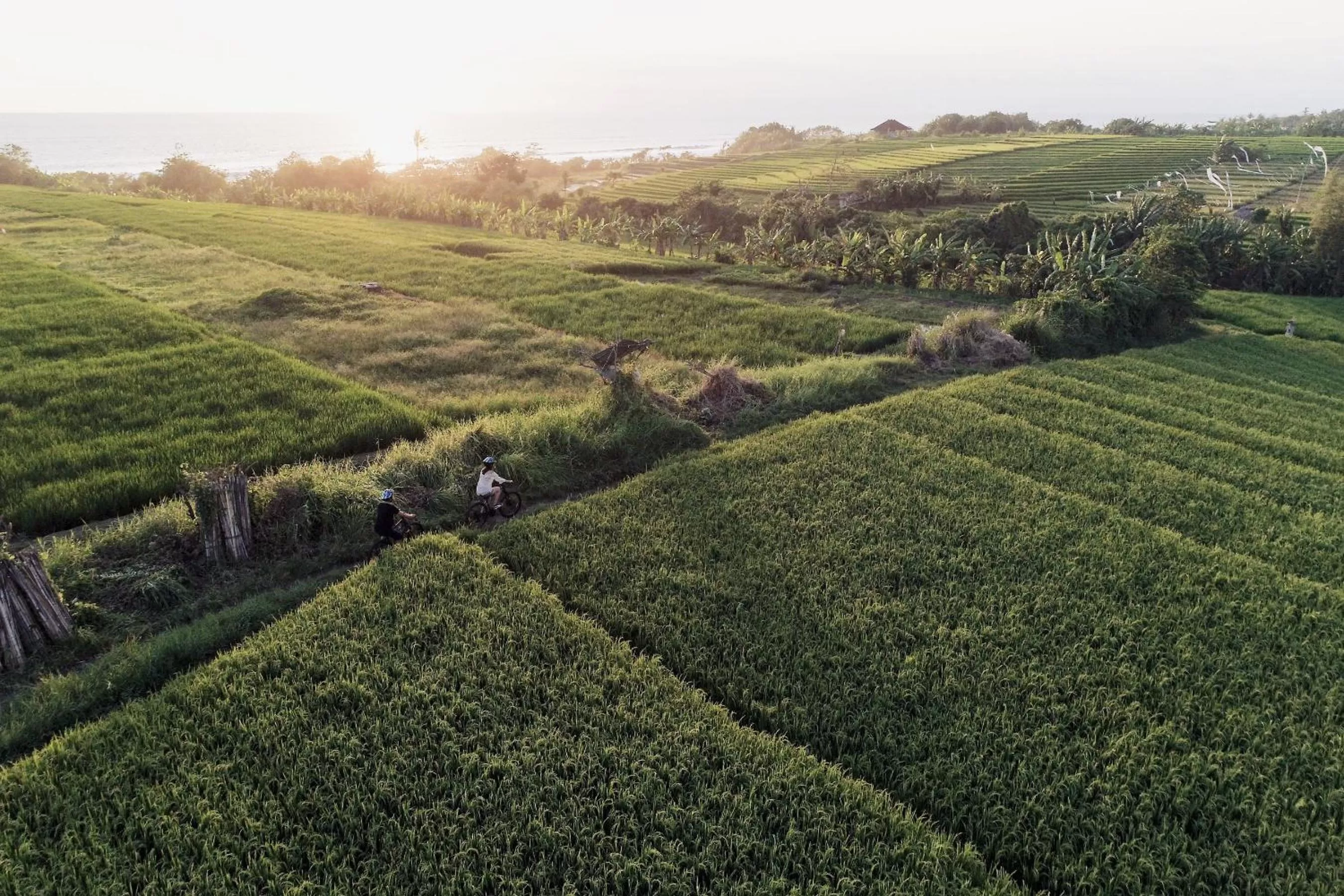 Natural landscape in WakaGangga