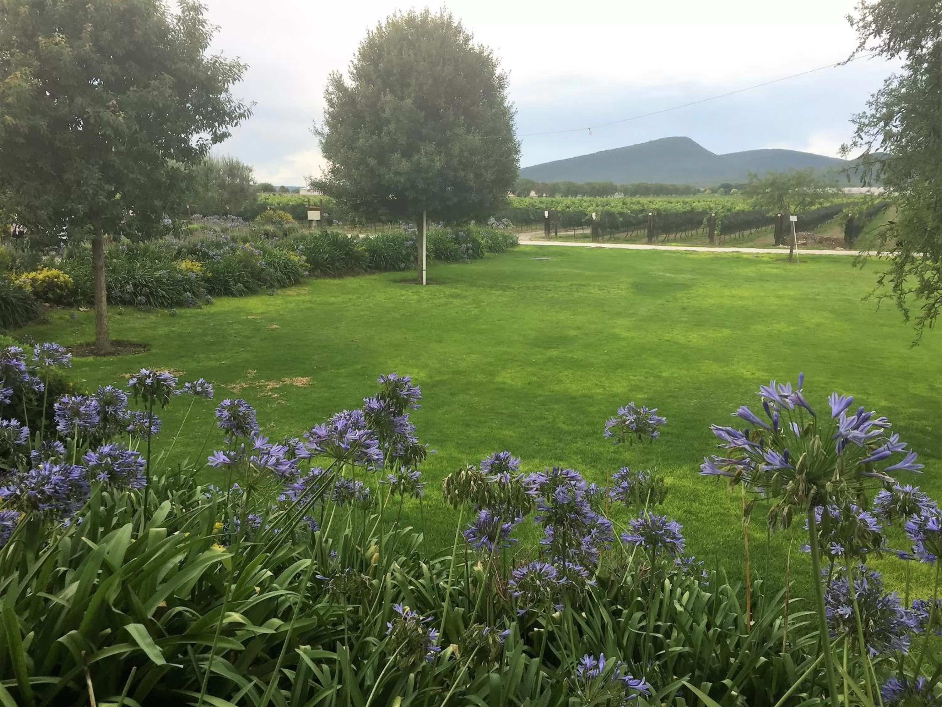 Activities in Hotel Boutique La Herencia