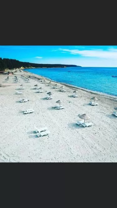 Day in Hotel Crowded House