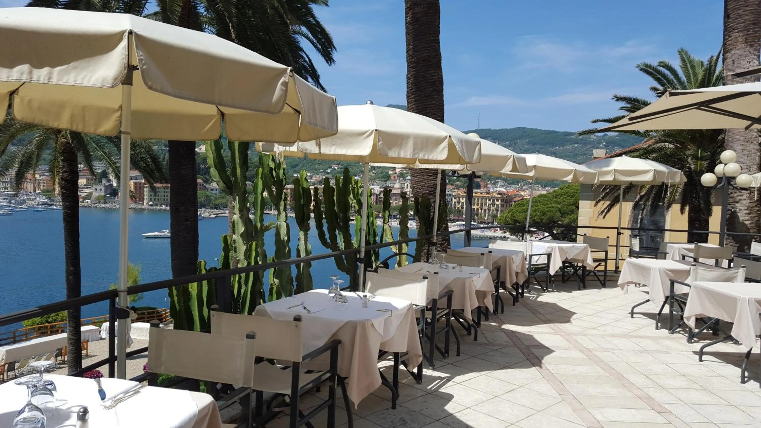 Restaurant/places to eat in Hotel Continental