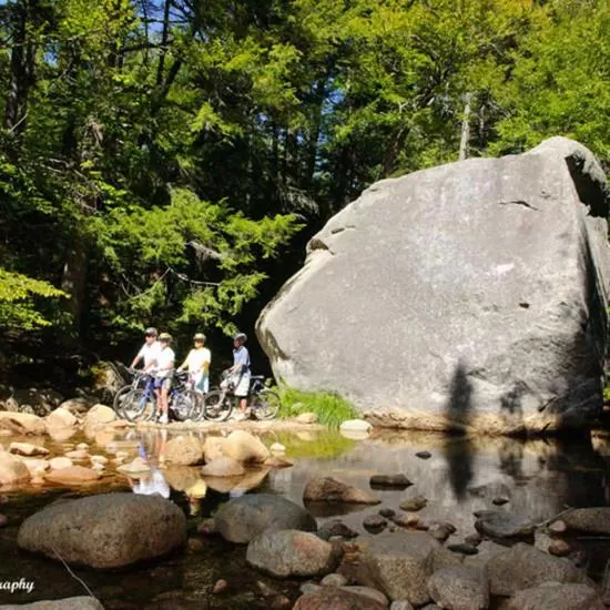 Natural landscape in Snowy Owl Inn