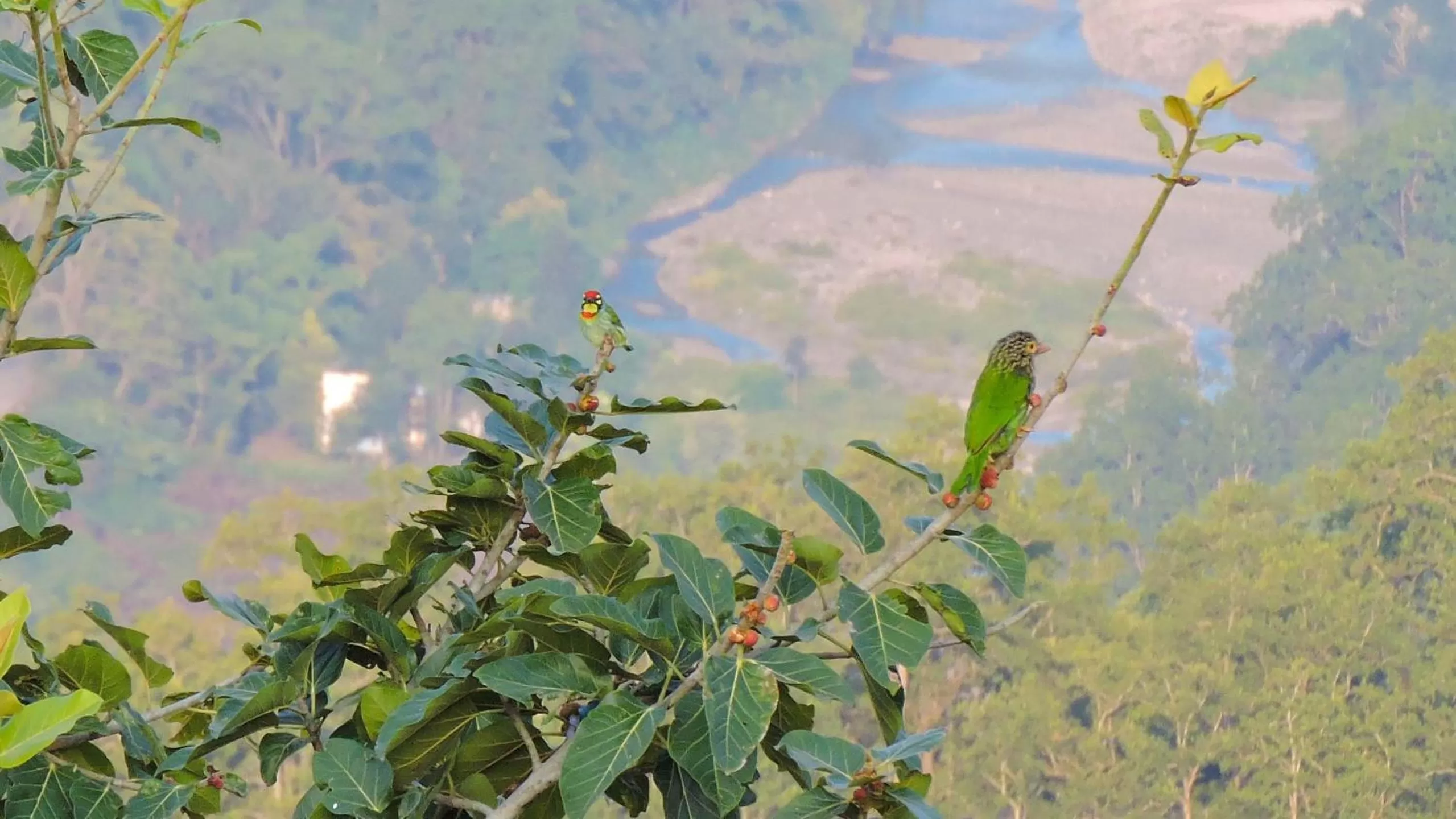 Spring in LaHermitage Resort