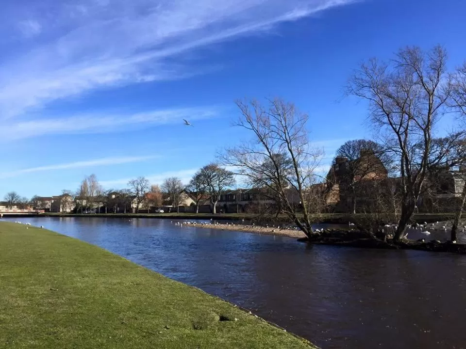 Natural landscape in Ravelston House