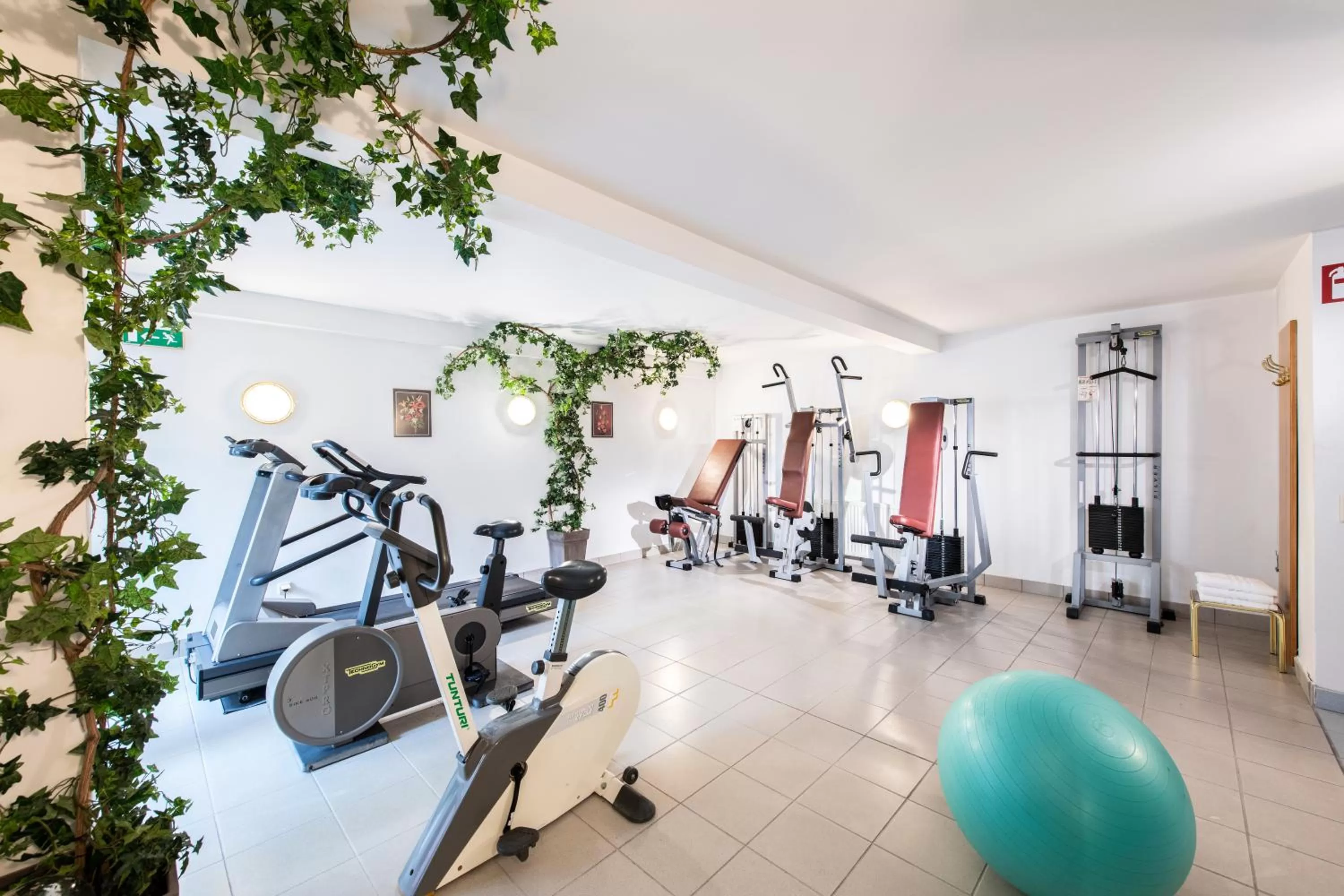 Fitness centre/facilities in Parkhotel zur Klause