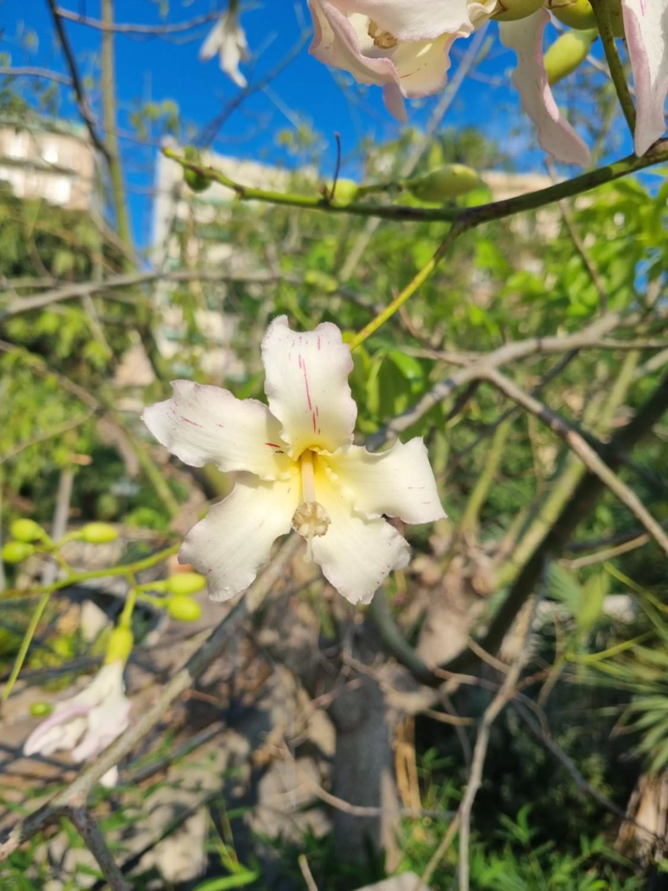Villa Sul Molo tra Siracusa e Catania