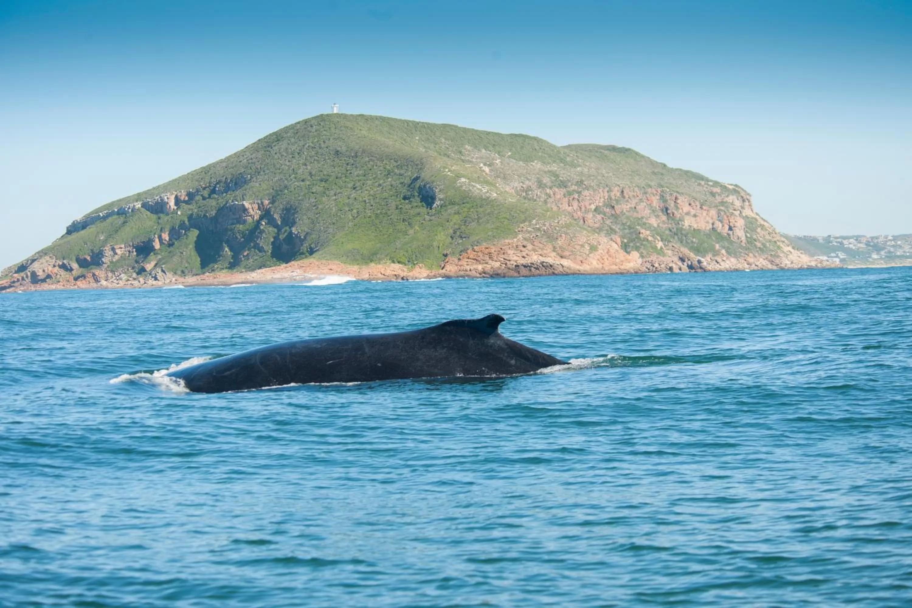Beach, Natural Landscape in Panoramic Blue B&B
