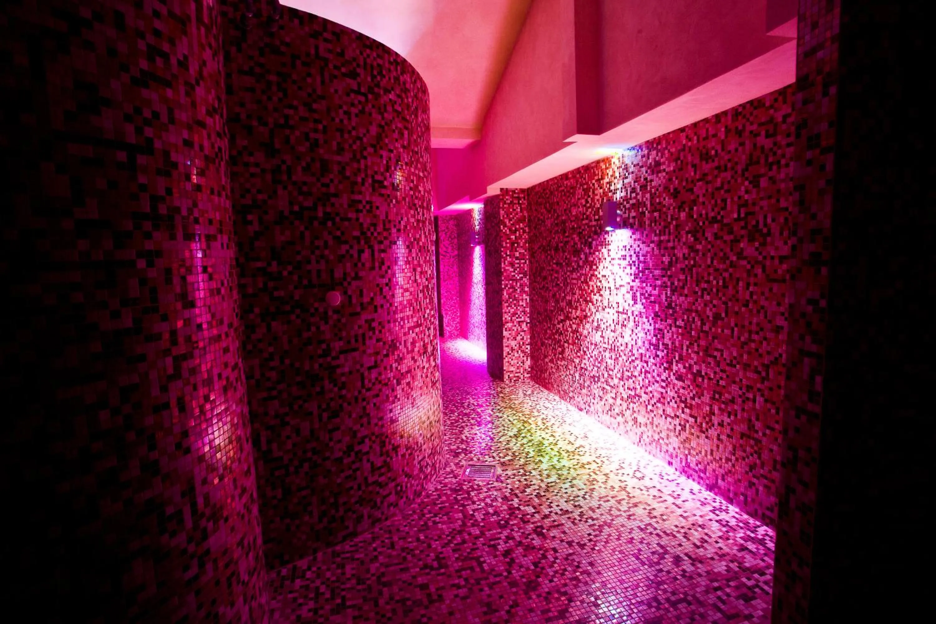 Spa and wellness centre/facilities in Palace Hotel San Michele