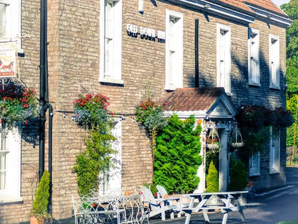 Property Building in The Old Down Inn