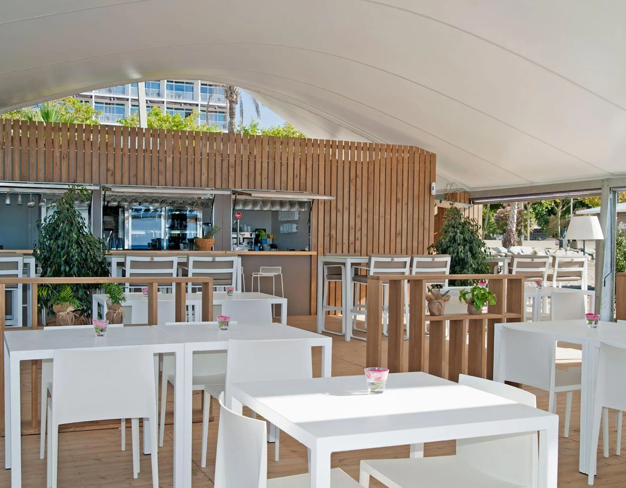 Restaurant/places to eat in KAKTUS Hotel Kaktus Playa