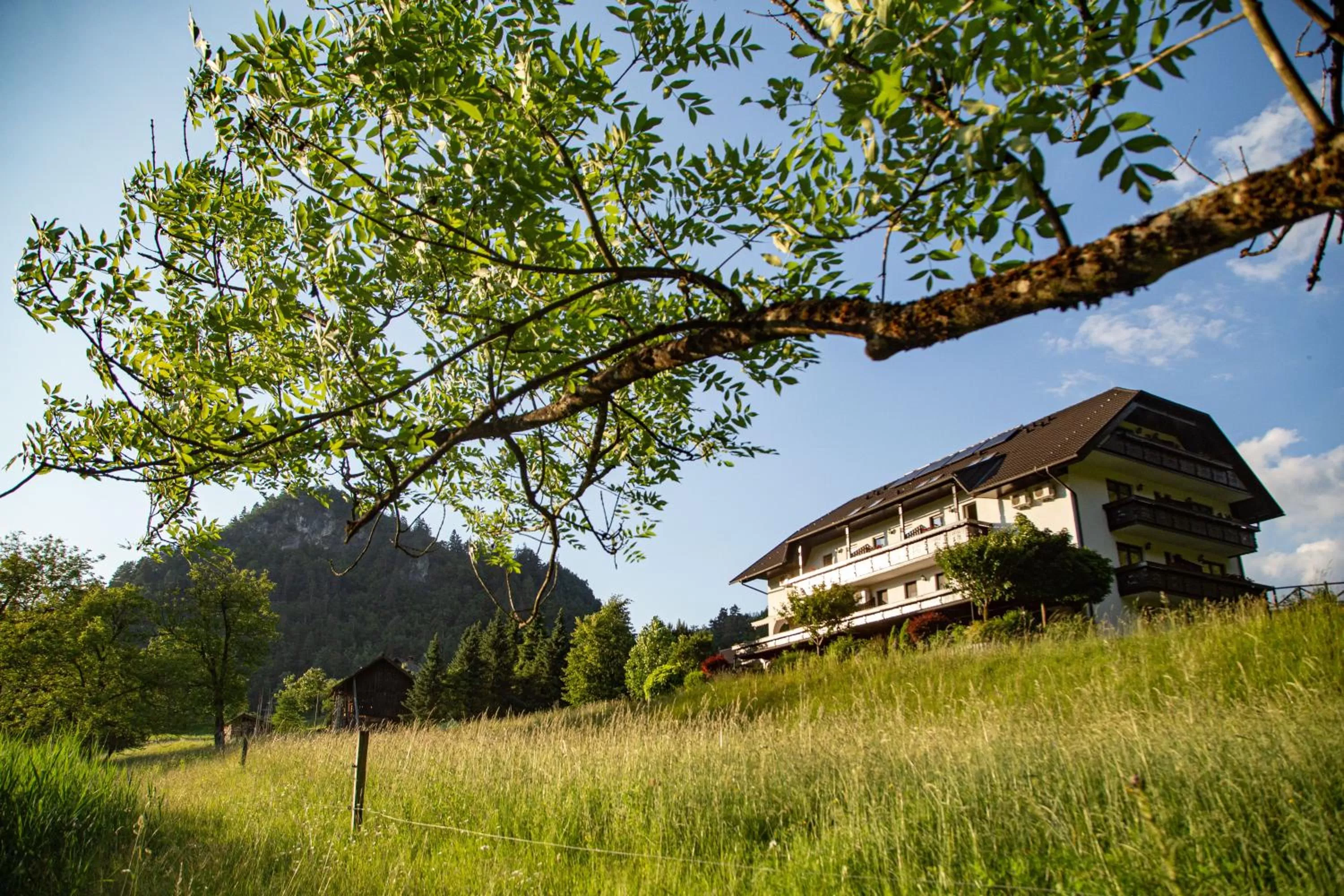 Property building in Nature Hotel Lukanc