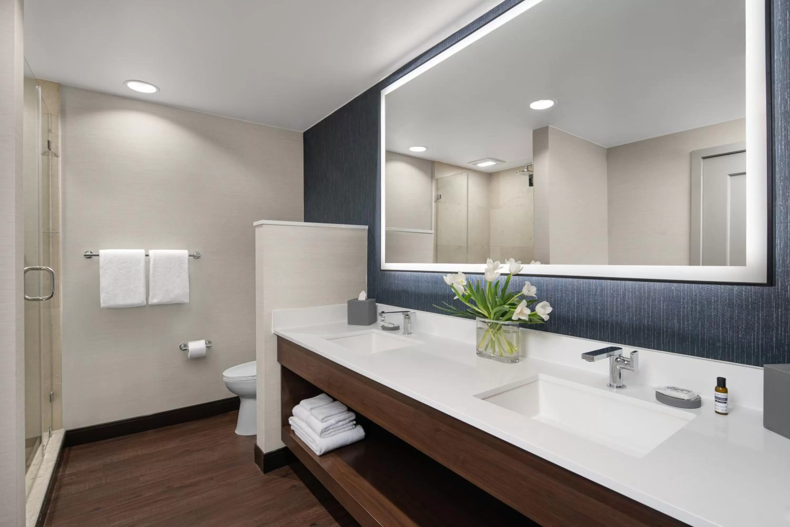 Bathroom in Hyatt Regency Westlake