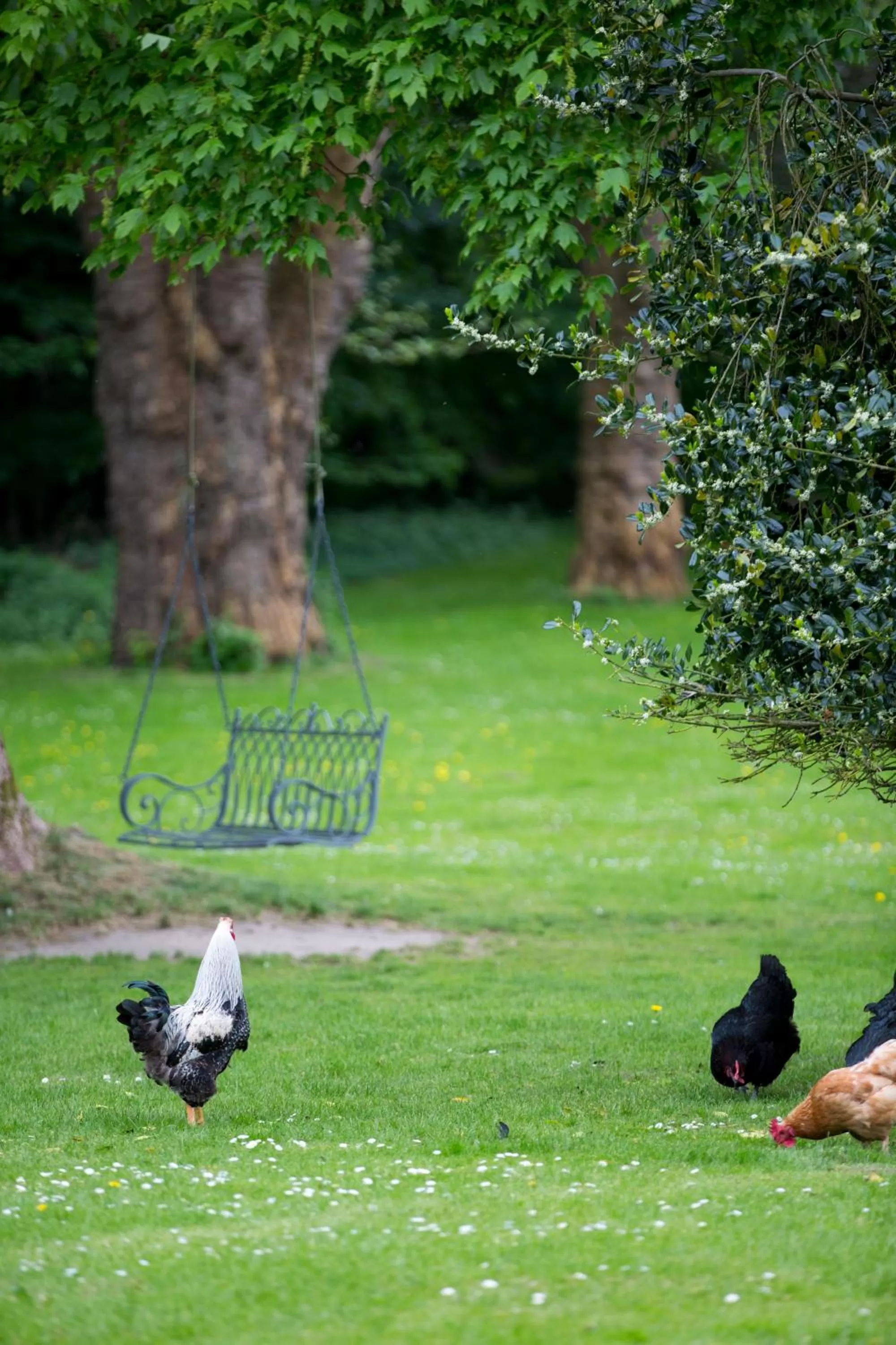 Garden in Ny Kirstineberg Gods Bed & Breakfast