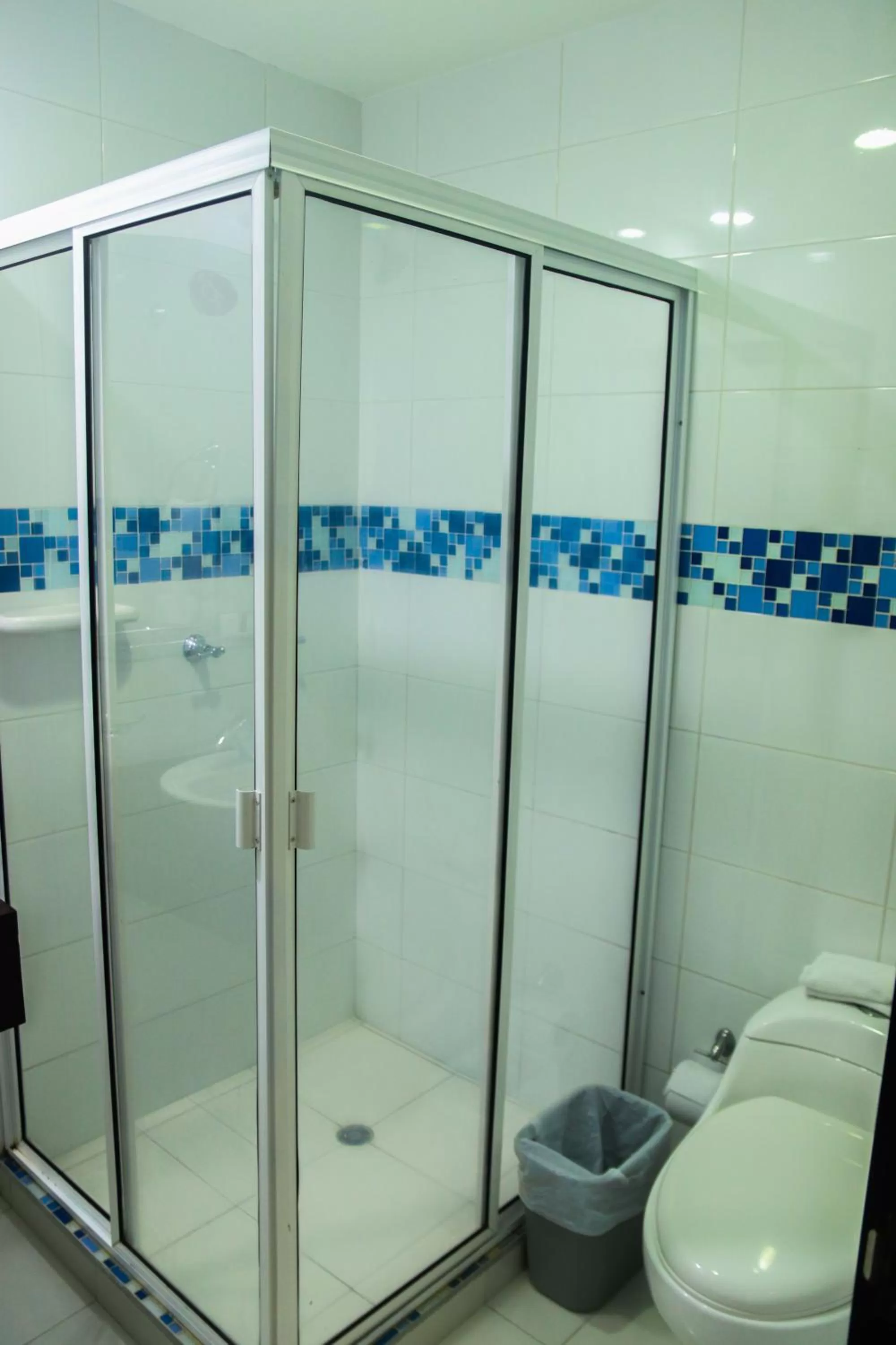 Bathroom in Hotel Buenos Aires