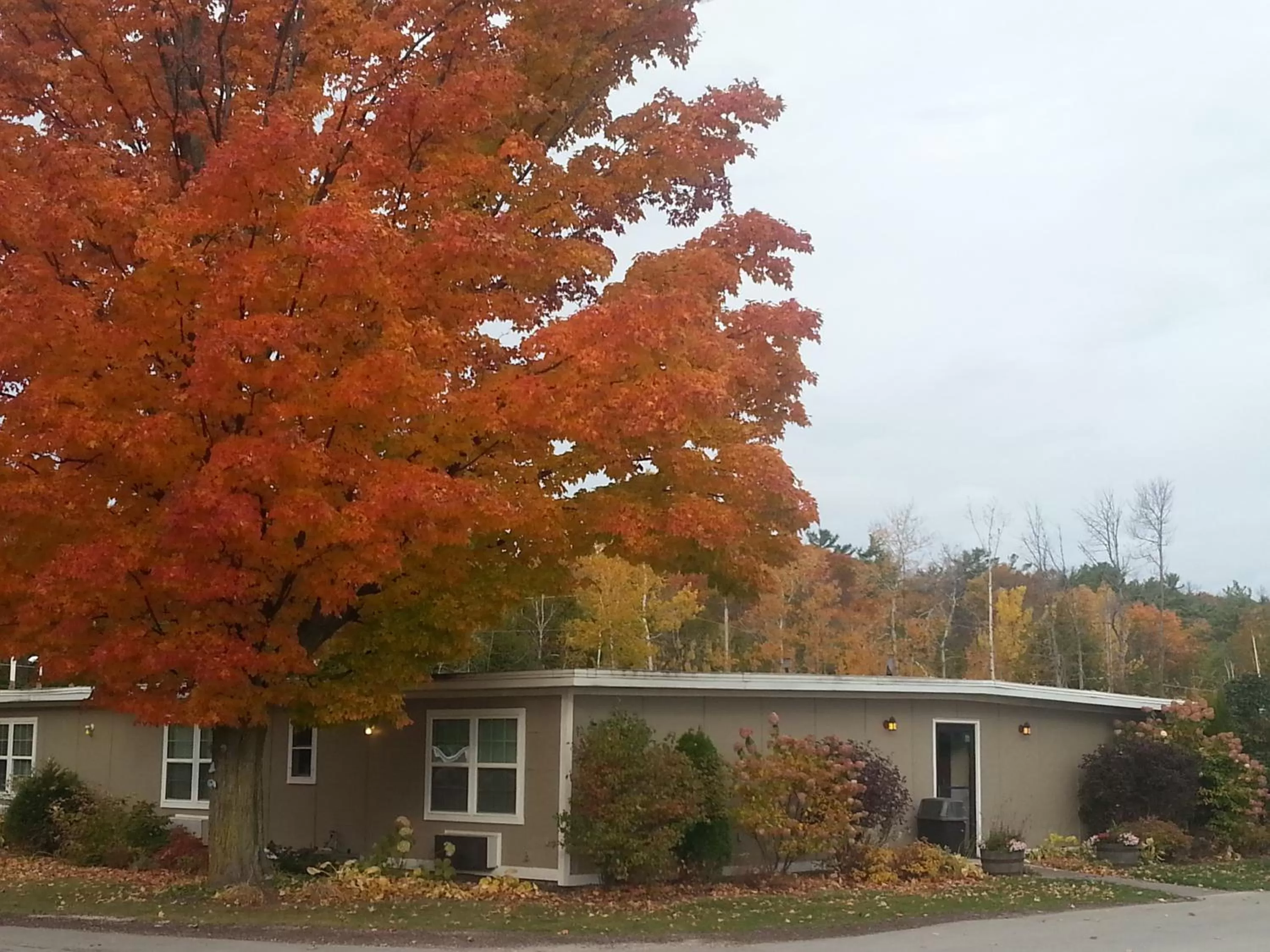 Facade/entrance in Beach Harbor Resort