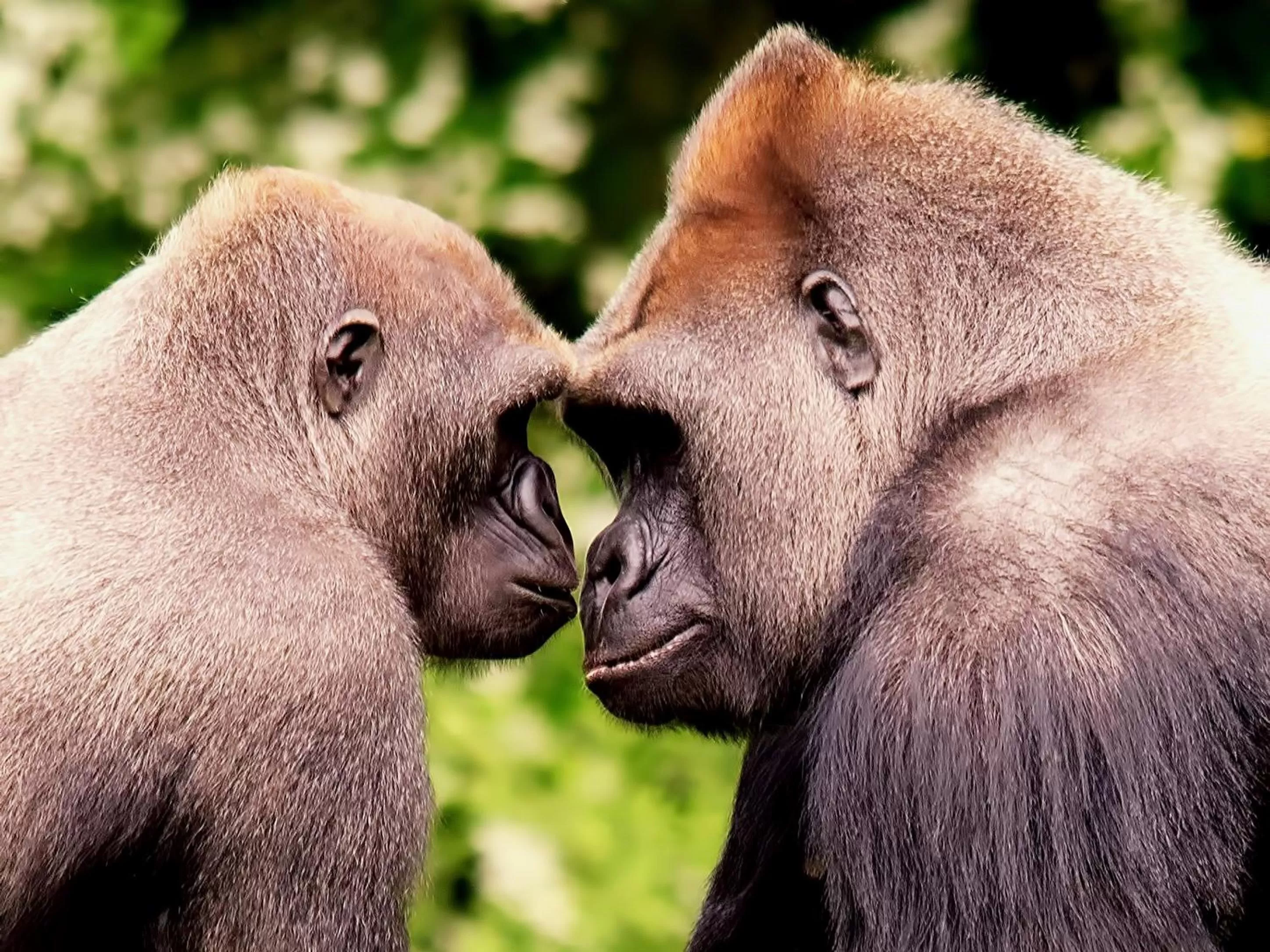 Other in Merritt Guest House B&B