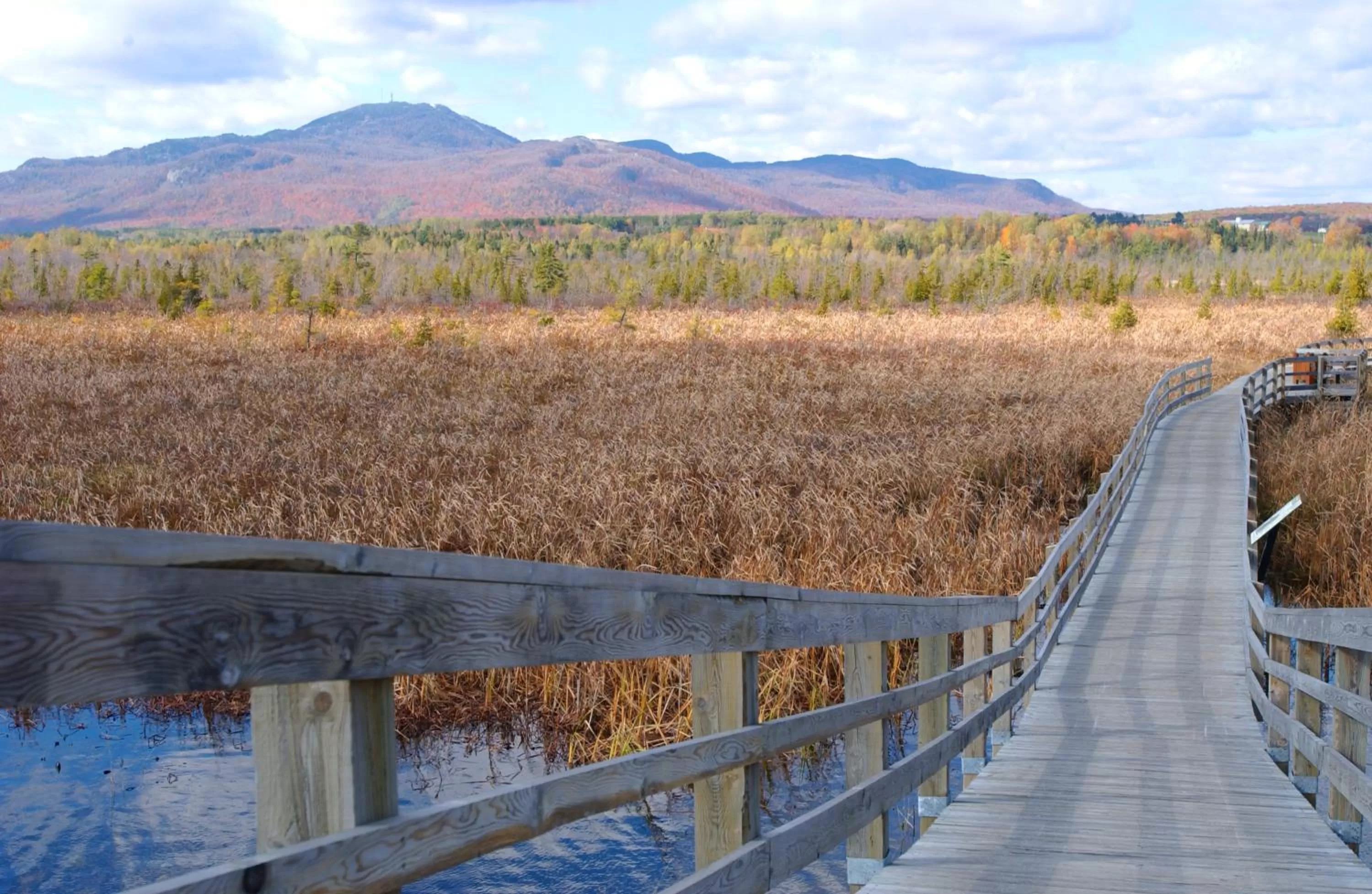 Property building in À Amour et Amitié