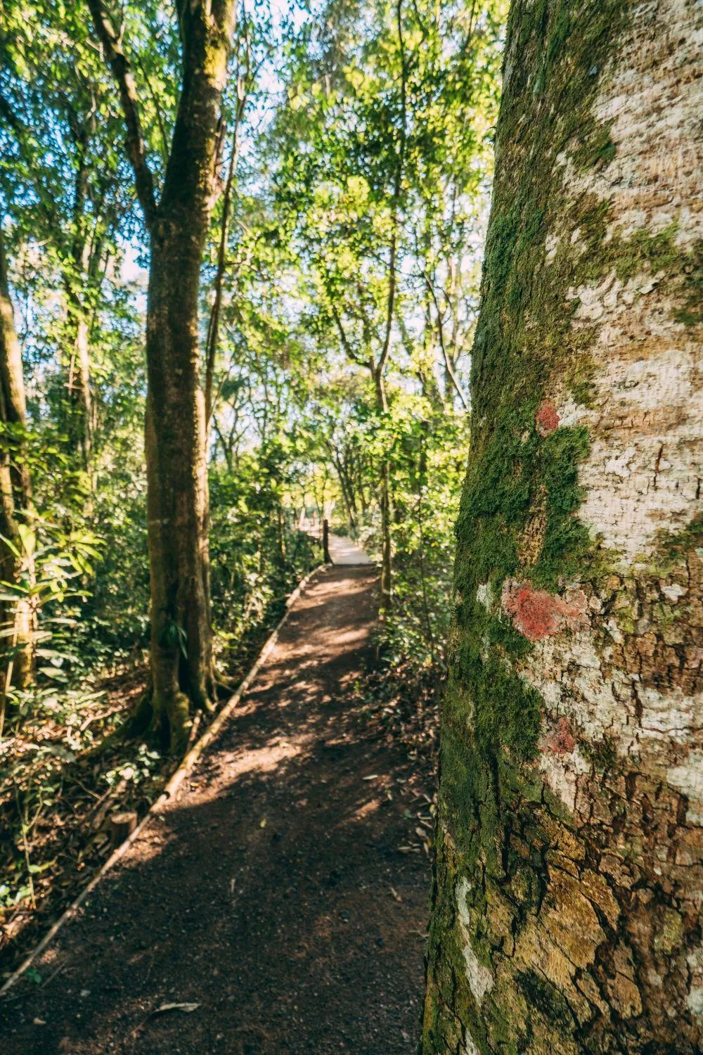 Hiking, Garden in Pousada Trem Chic