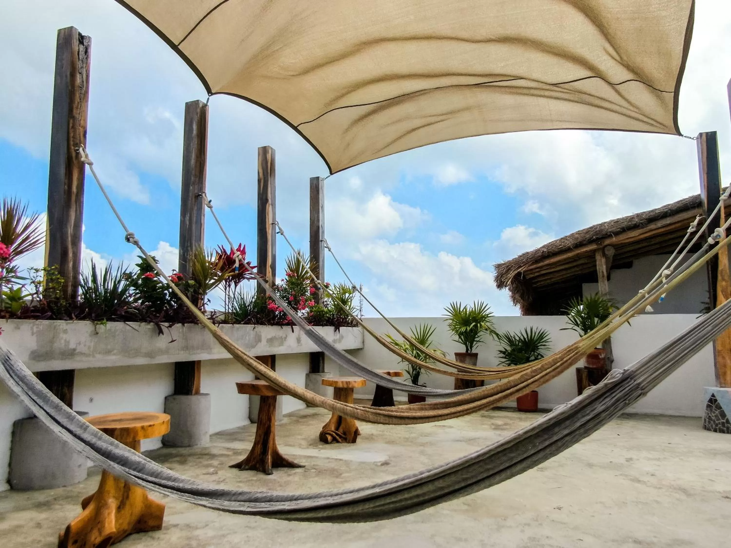 Balcony/Terrace in La Palmita Budget Boutique Hotel