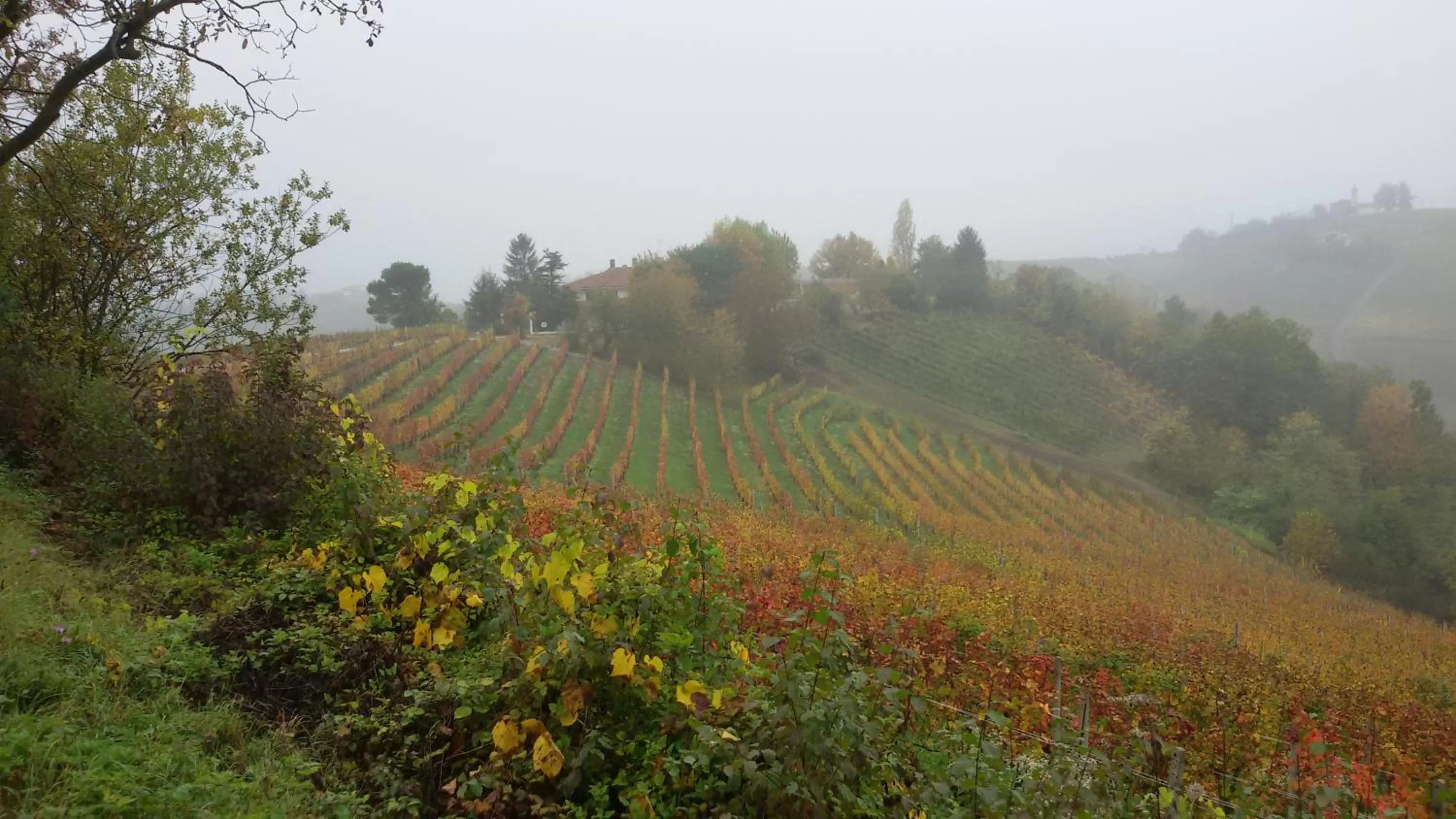 On site in Cascina Torello