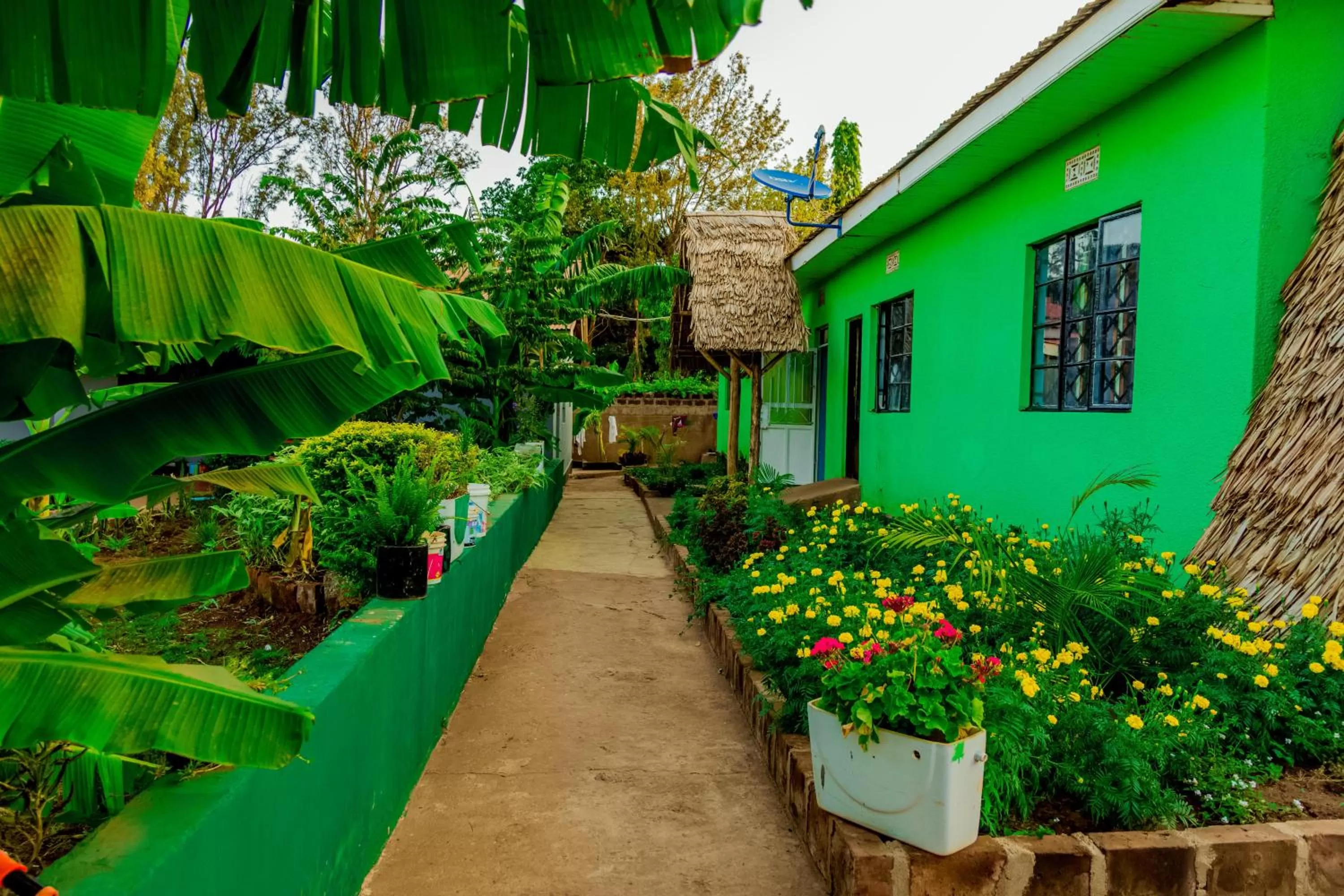 Property building in Royal Wonders Hotel