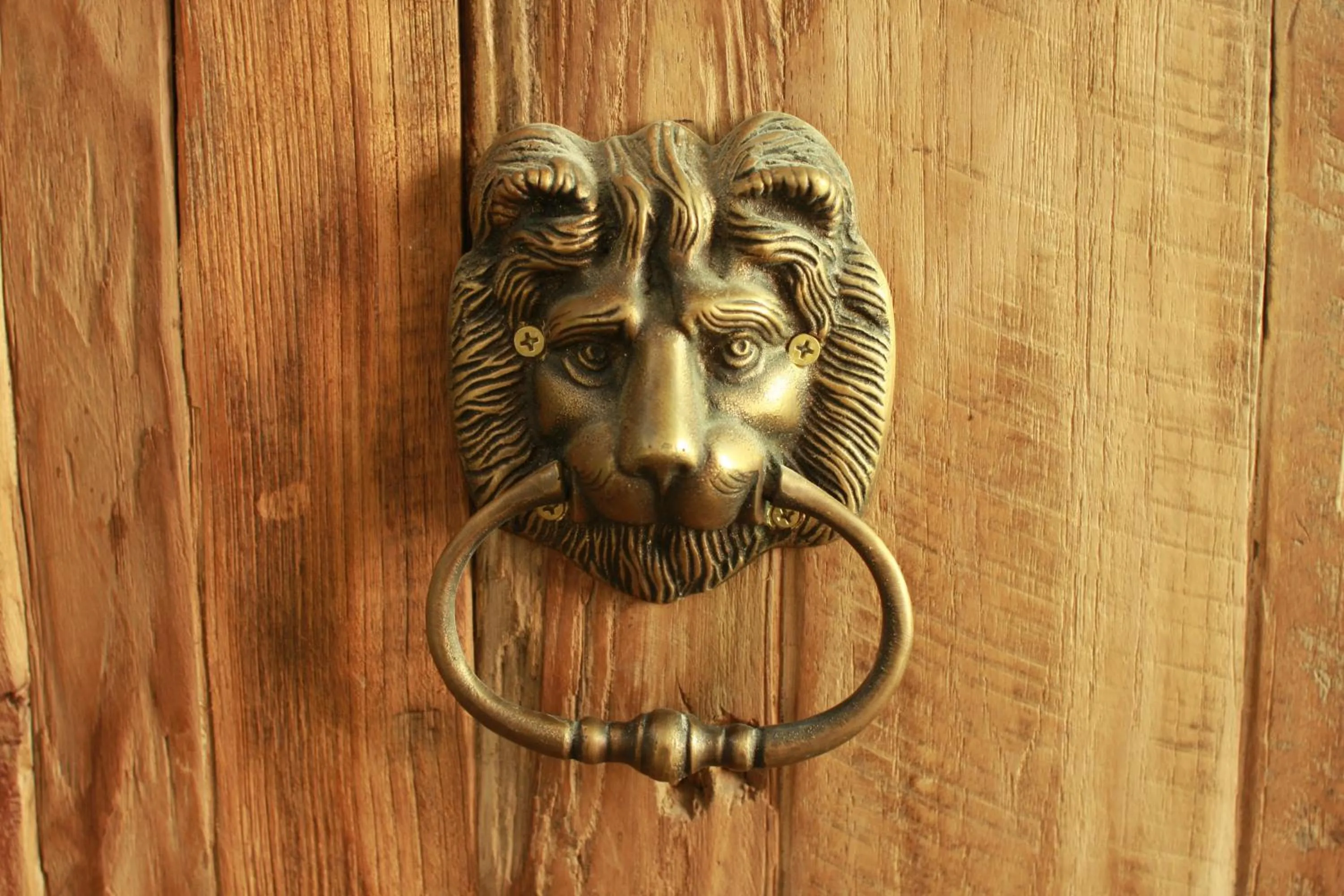 Decorative detail in Aspira D'Andora Sukhumvit 16 - Asoke