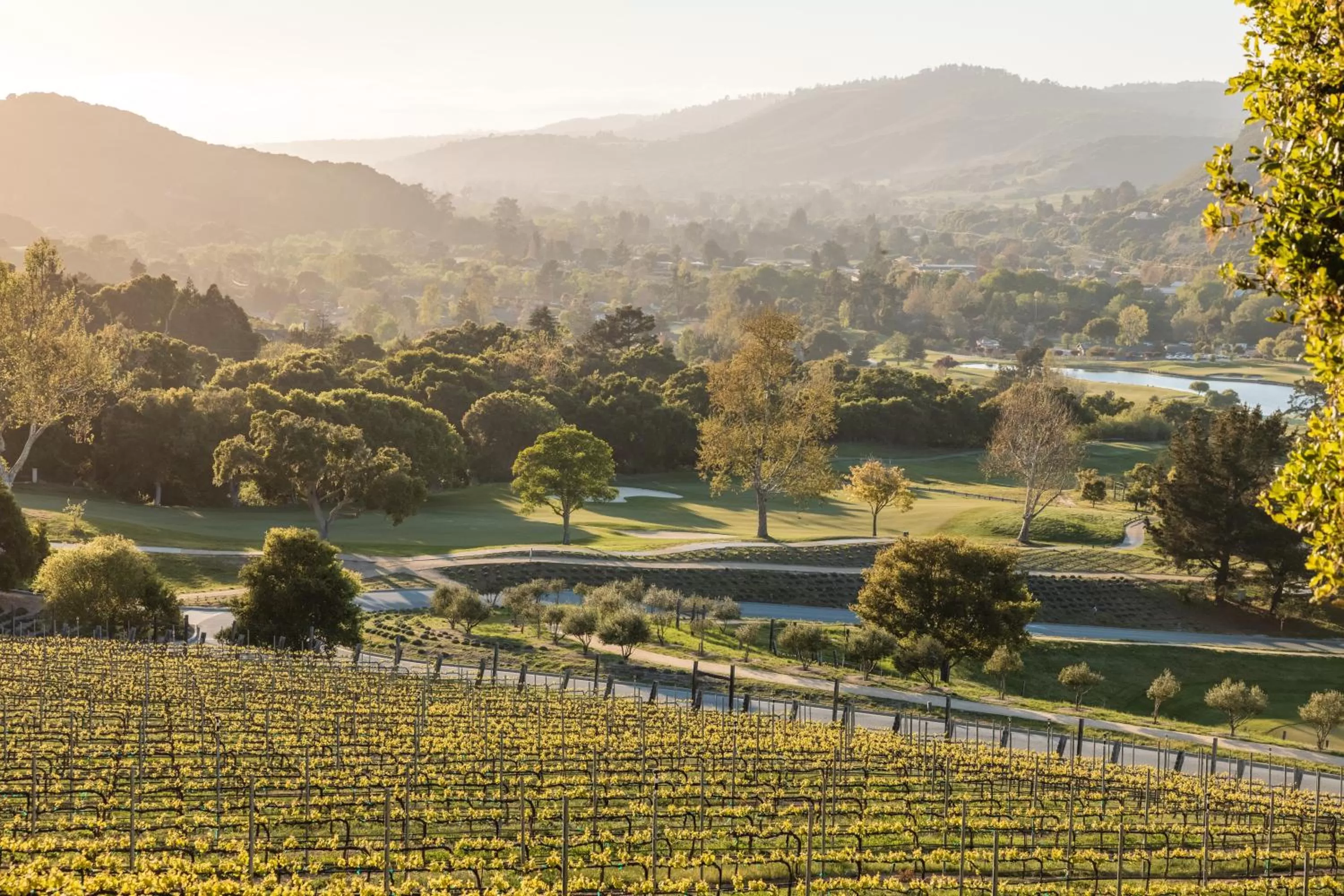 View (from property/room) in Carmel Valley Ranch, in The Unbound Collection by Hyatt
