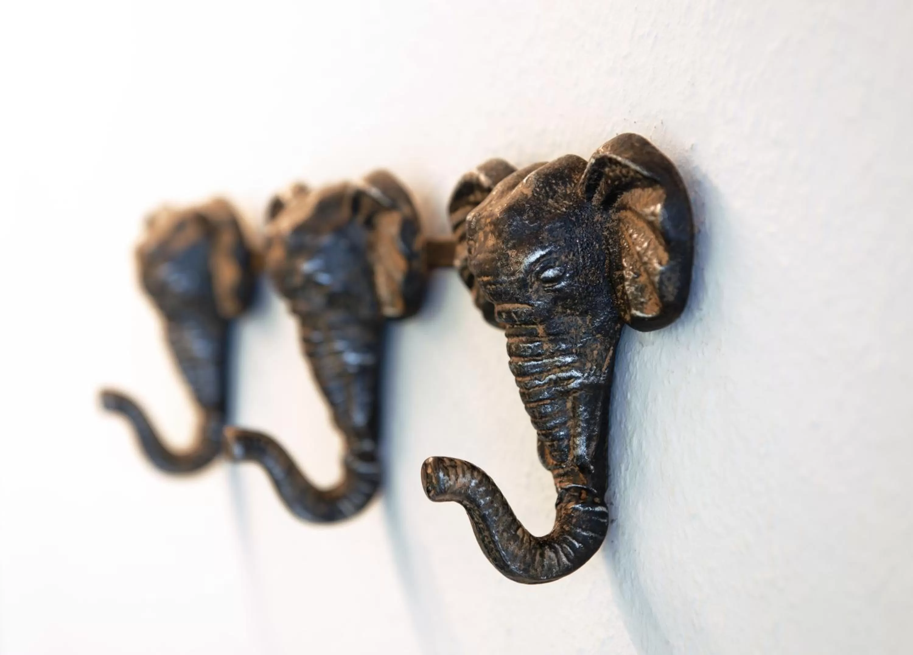 Decorative detail in Trend Hotel