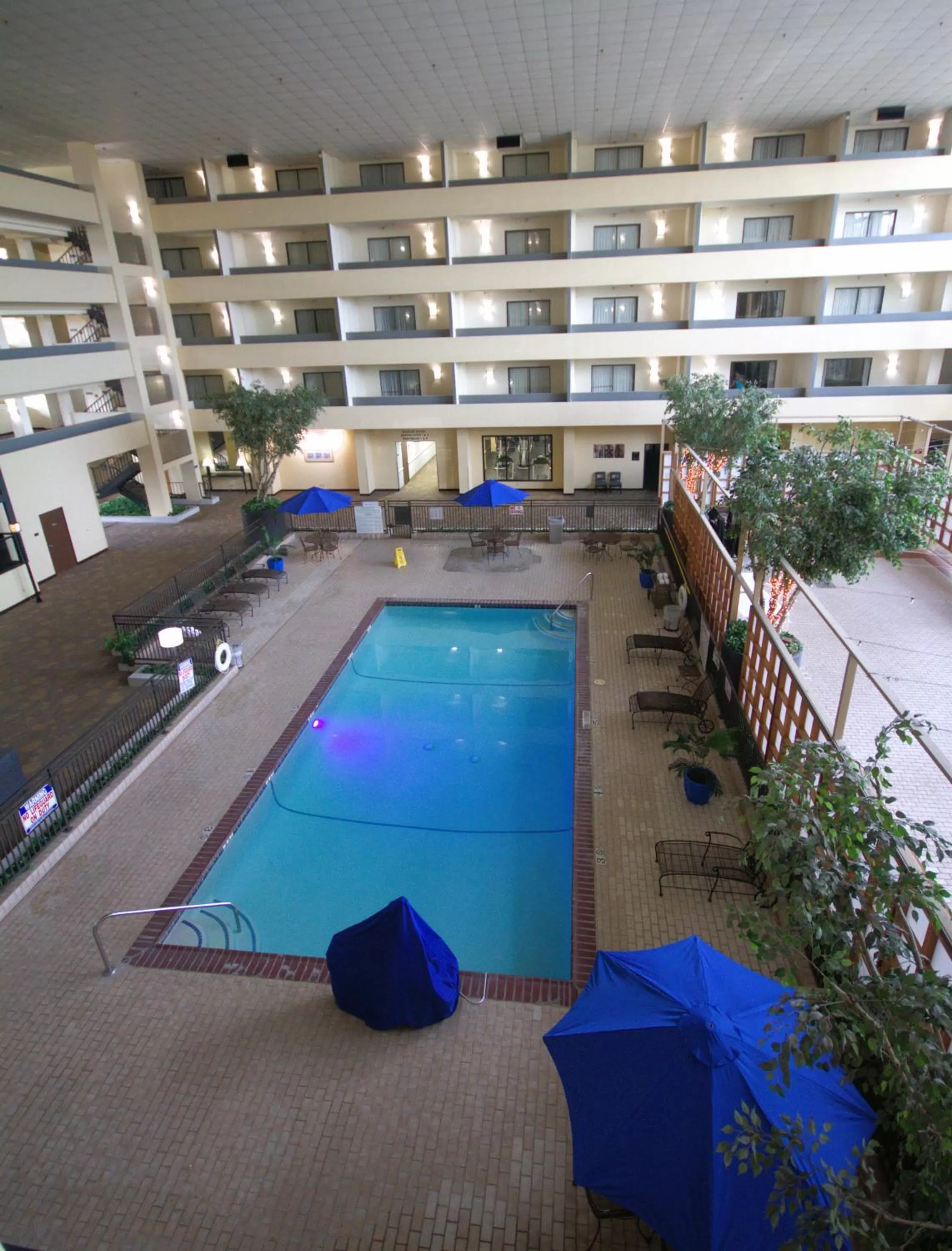 Swimming pool in Atrium Hotel and Suites DFW Airport