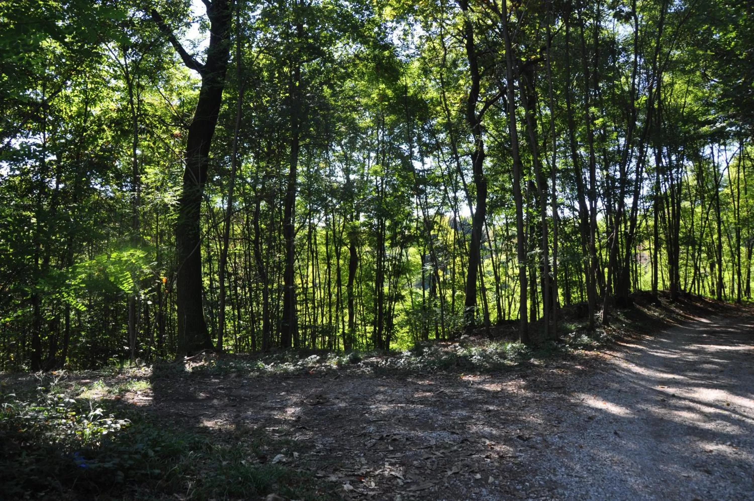 Natural landscape in Villa Fior di Robinia