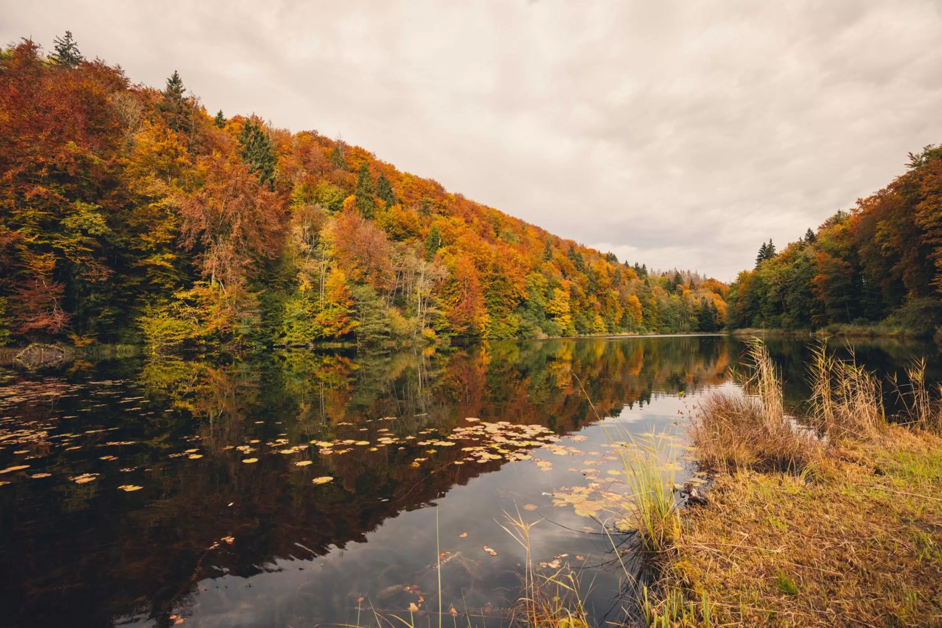 Staff in Monardo Hasenberg