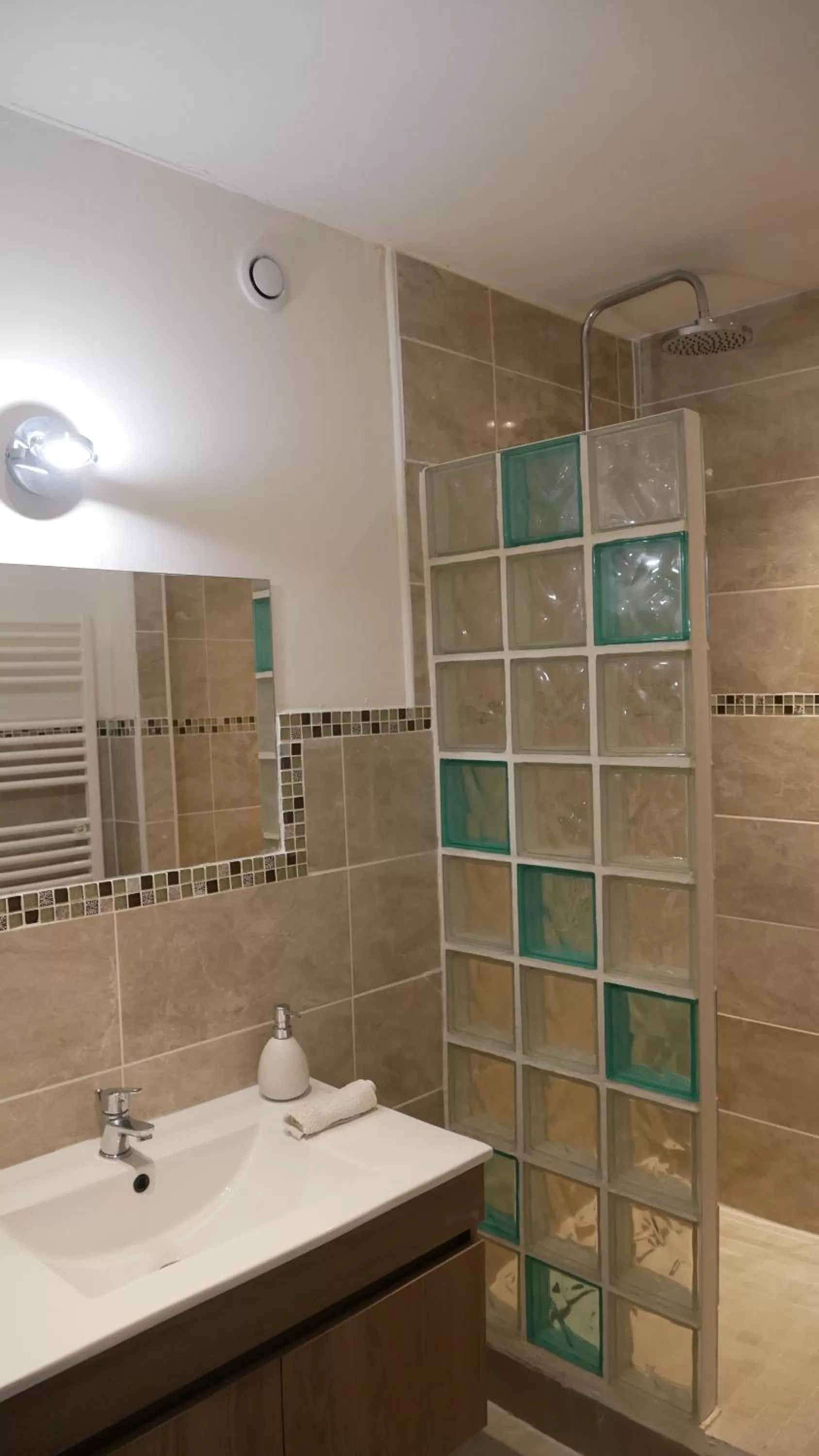 Shower in MAS MAURANE-Chambre d'hôte avec SPA privé aux portes d'ARLES
