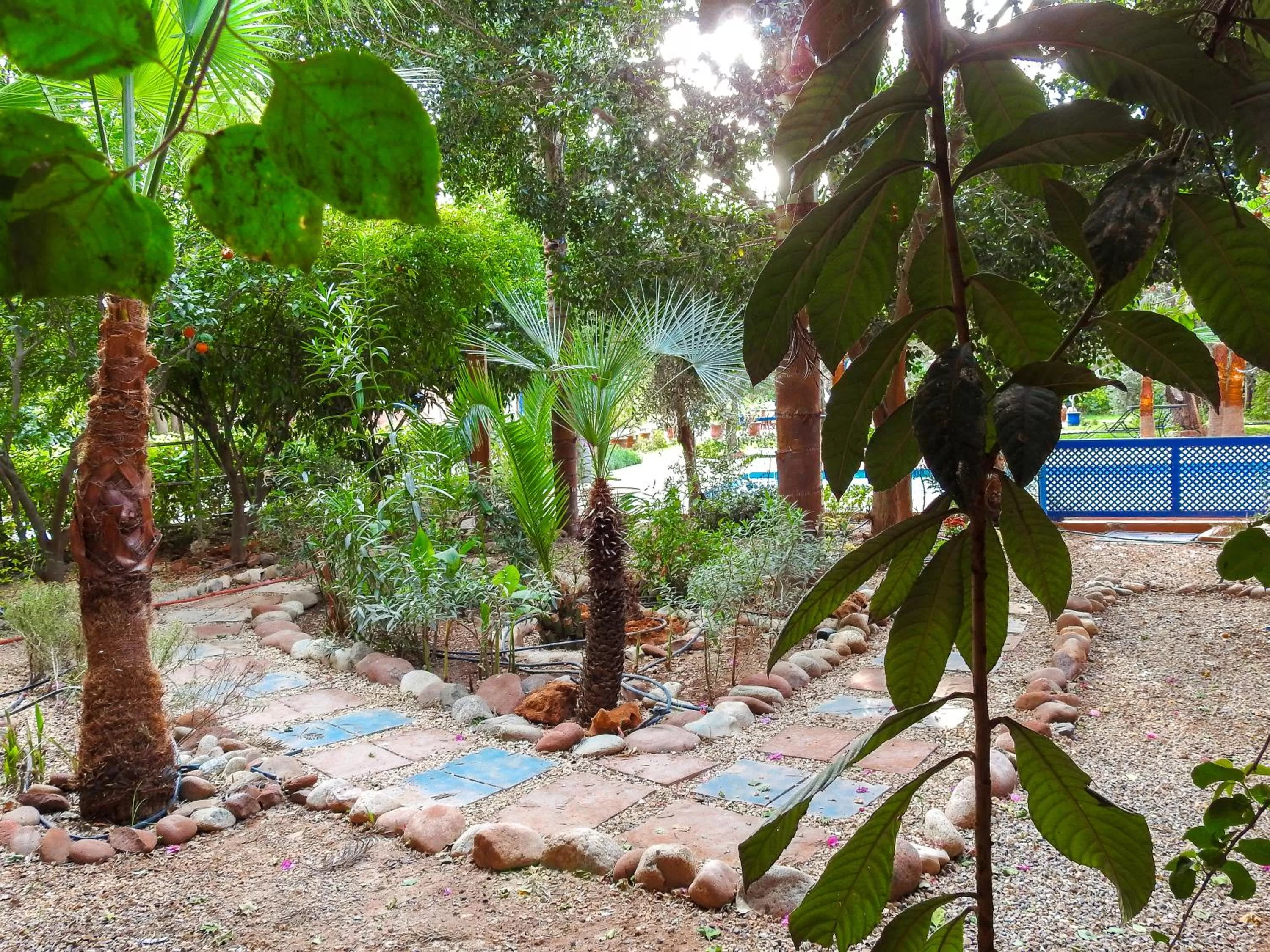 Garden in Le Bleu House