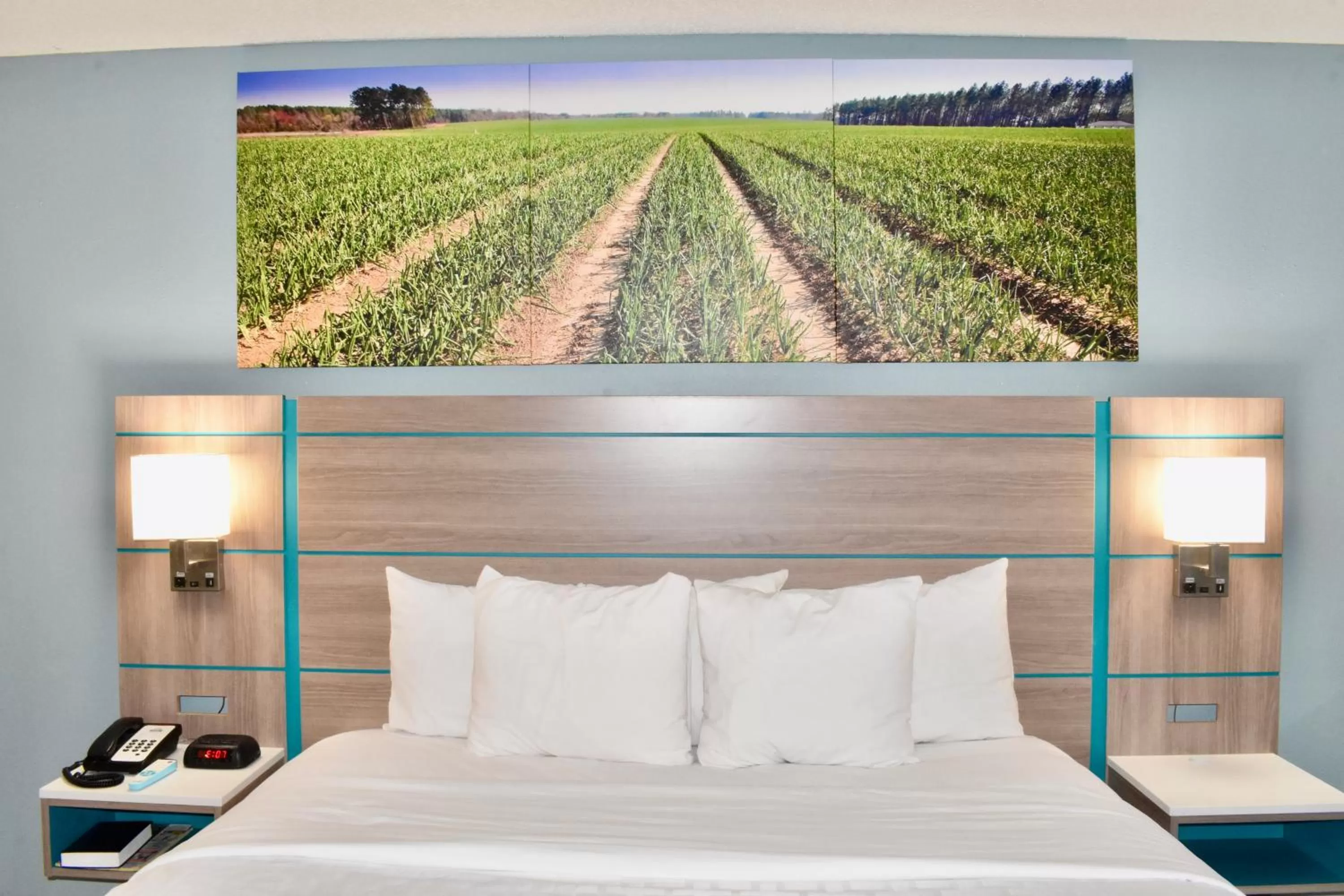 Bed in Clarion Pointe Vidalia - Lyons West