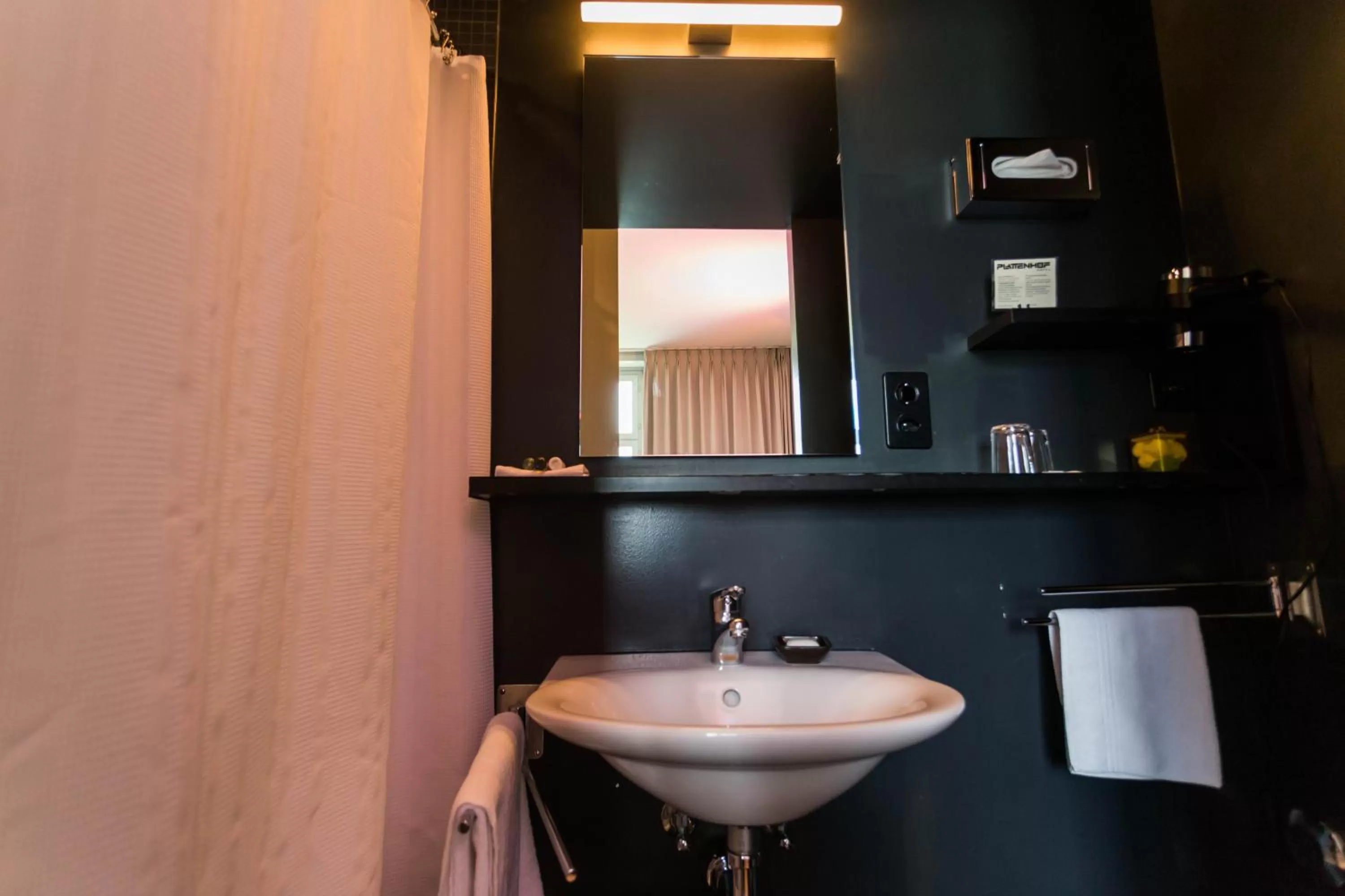 Classic Double Room - single occupancy in Design Hotel Plattenhof