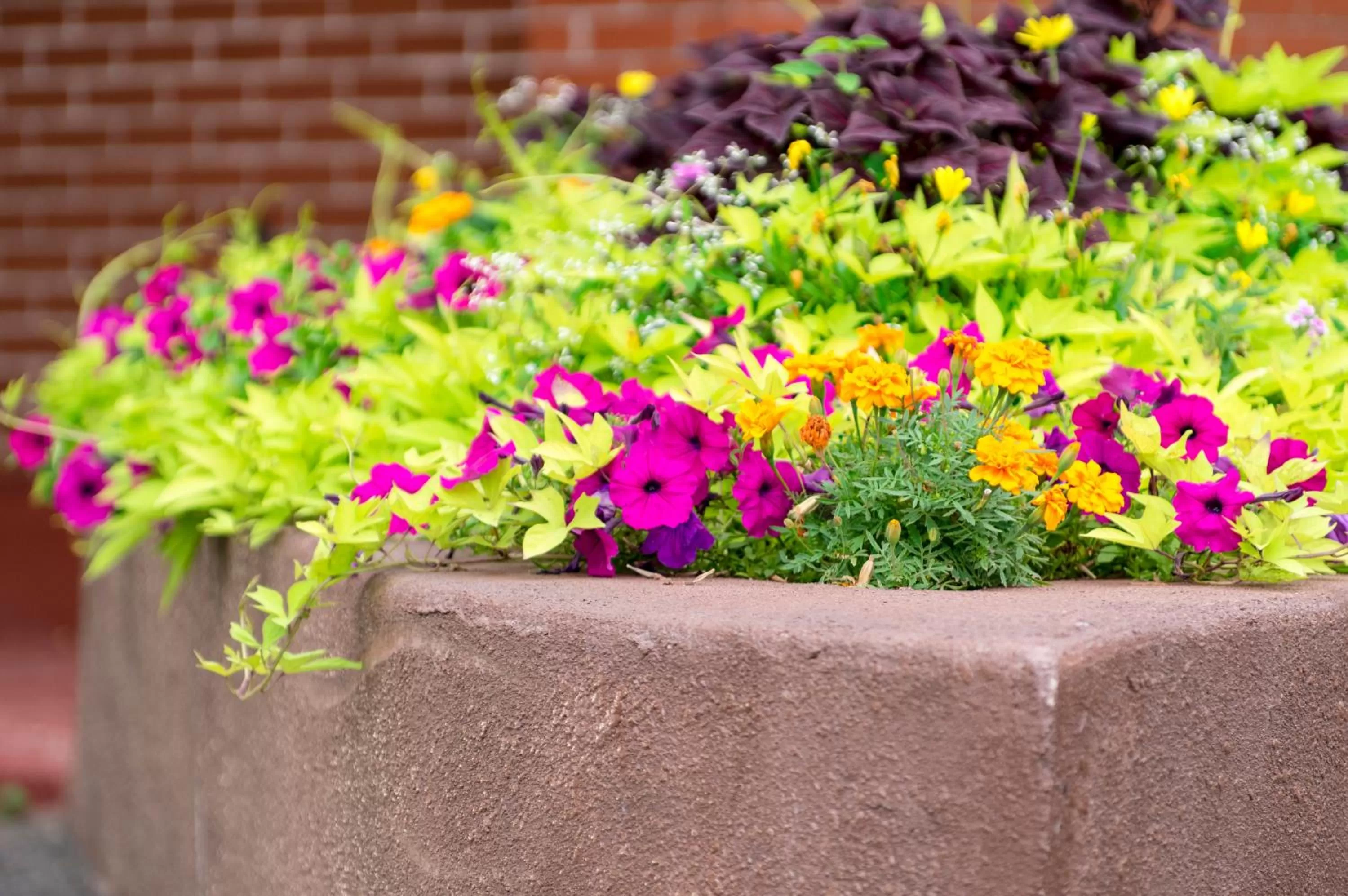 Decorative detail in Mount Peyton Resort & Conference Centre