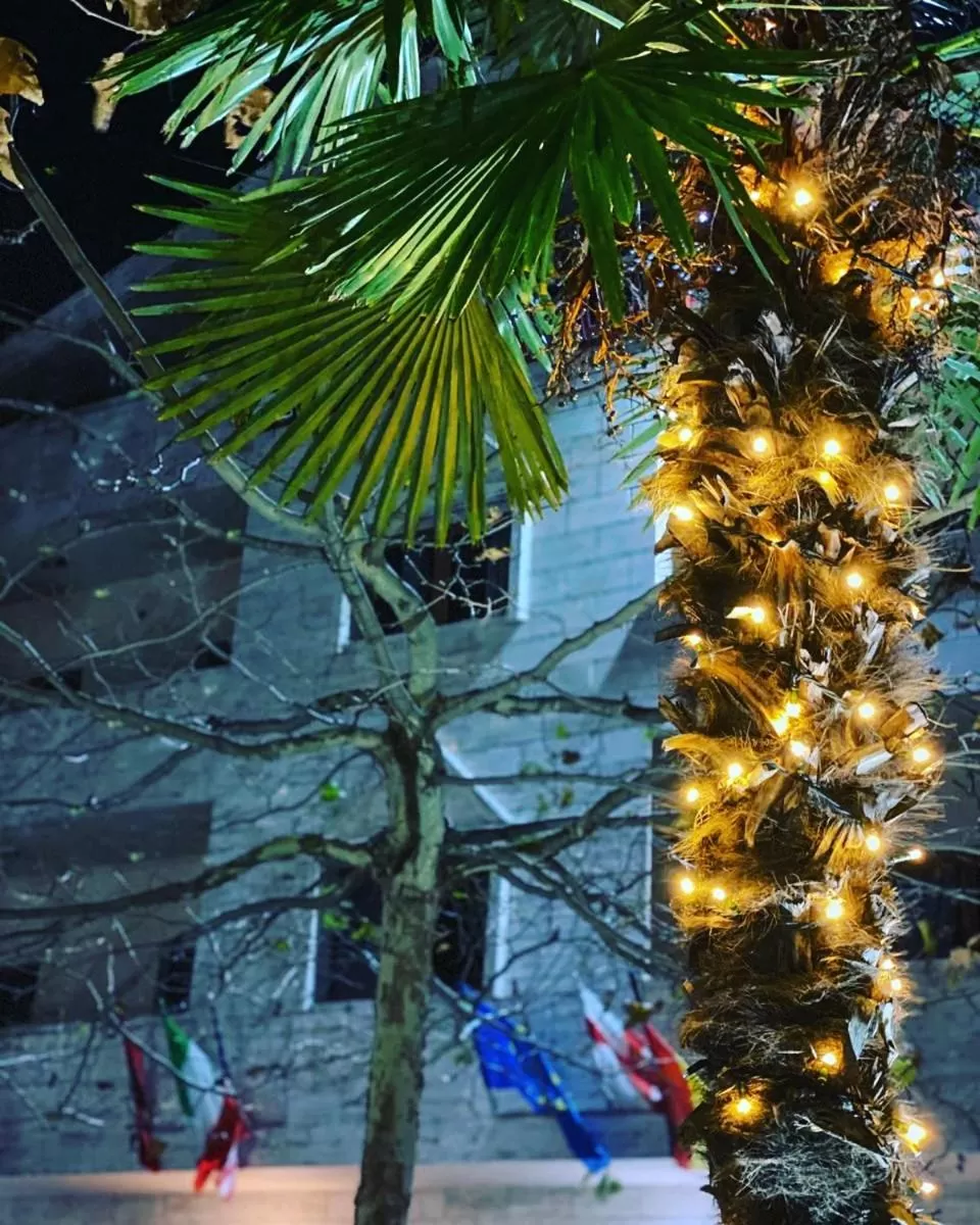 Hotel Ambasador Garden