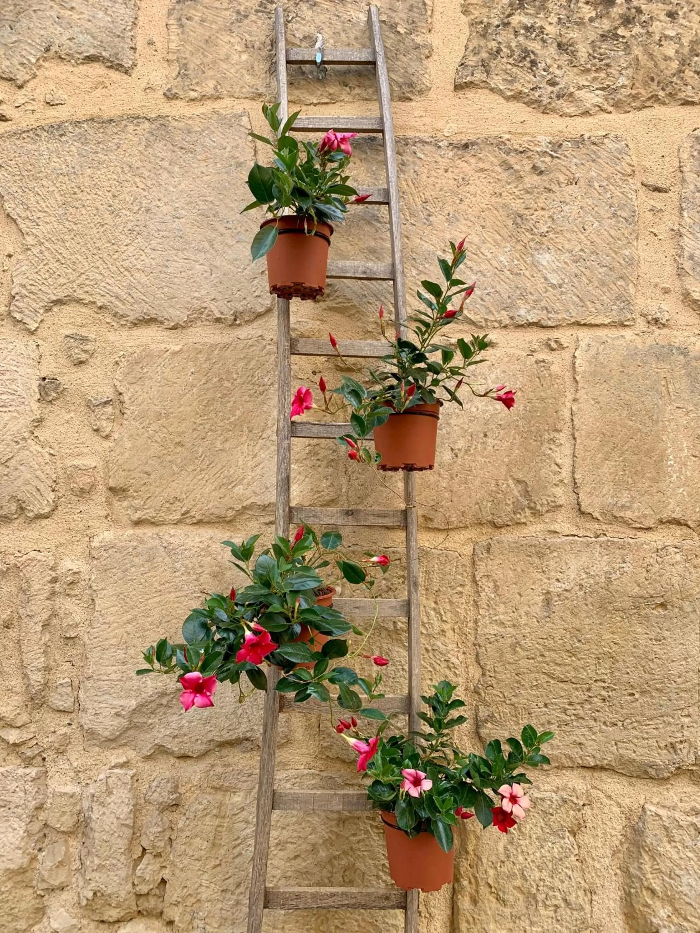 Decorative detail in Bianko EcoChic