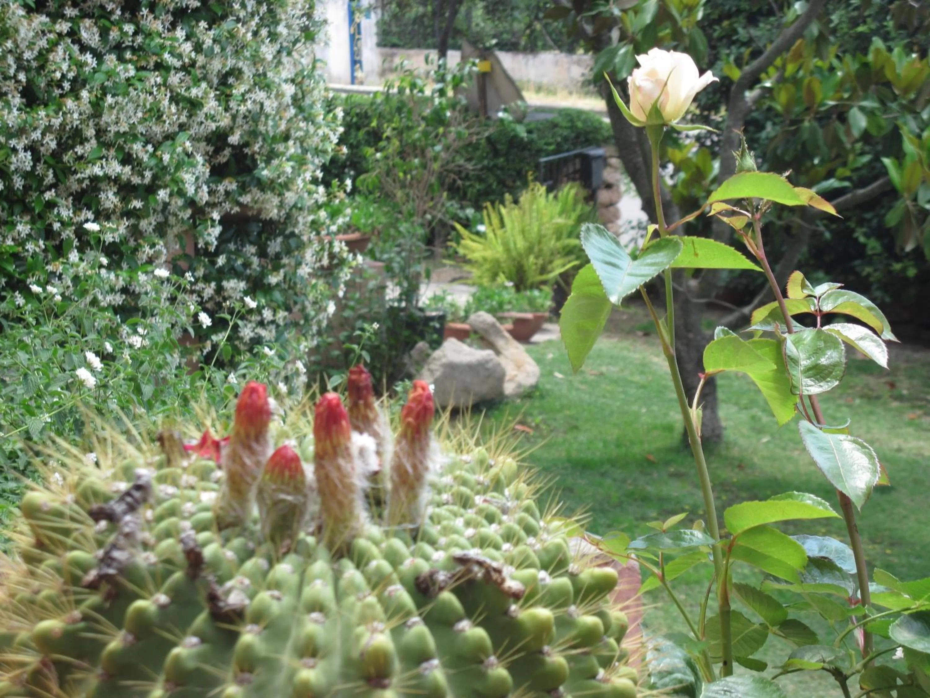 Day in Bed & Breakfast Dessole