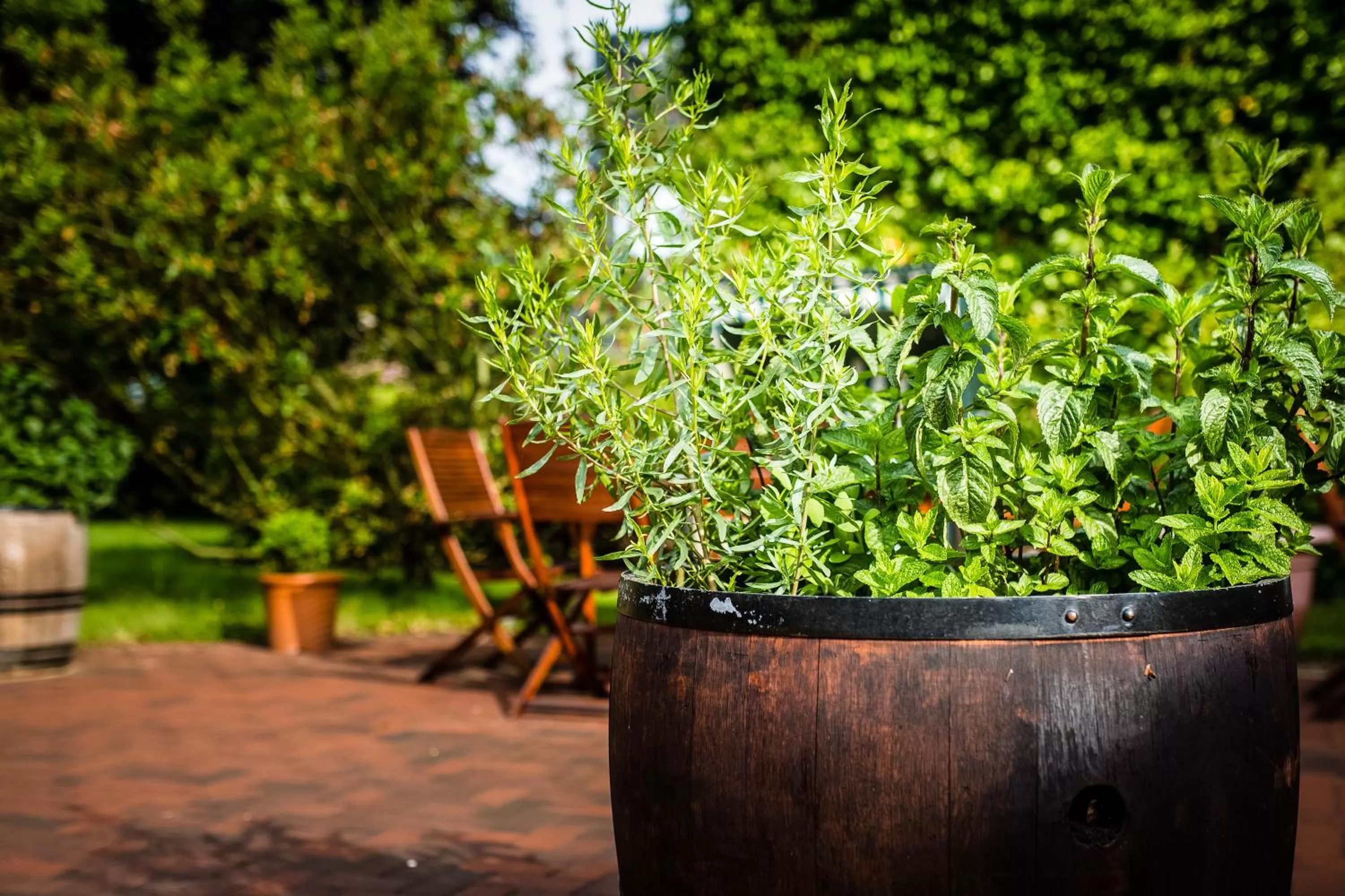 Decorative detail in BE BIO Hotel be active - Nähe historischer Hafen