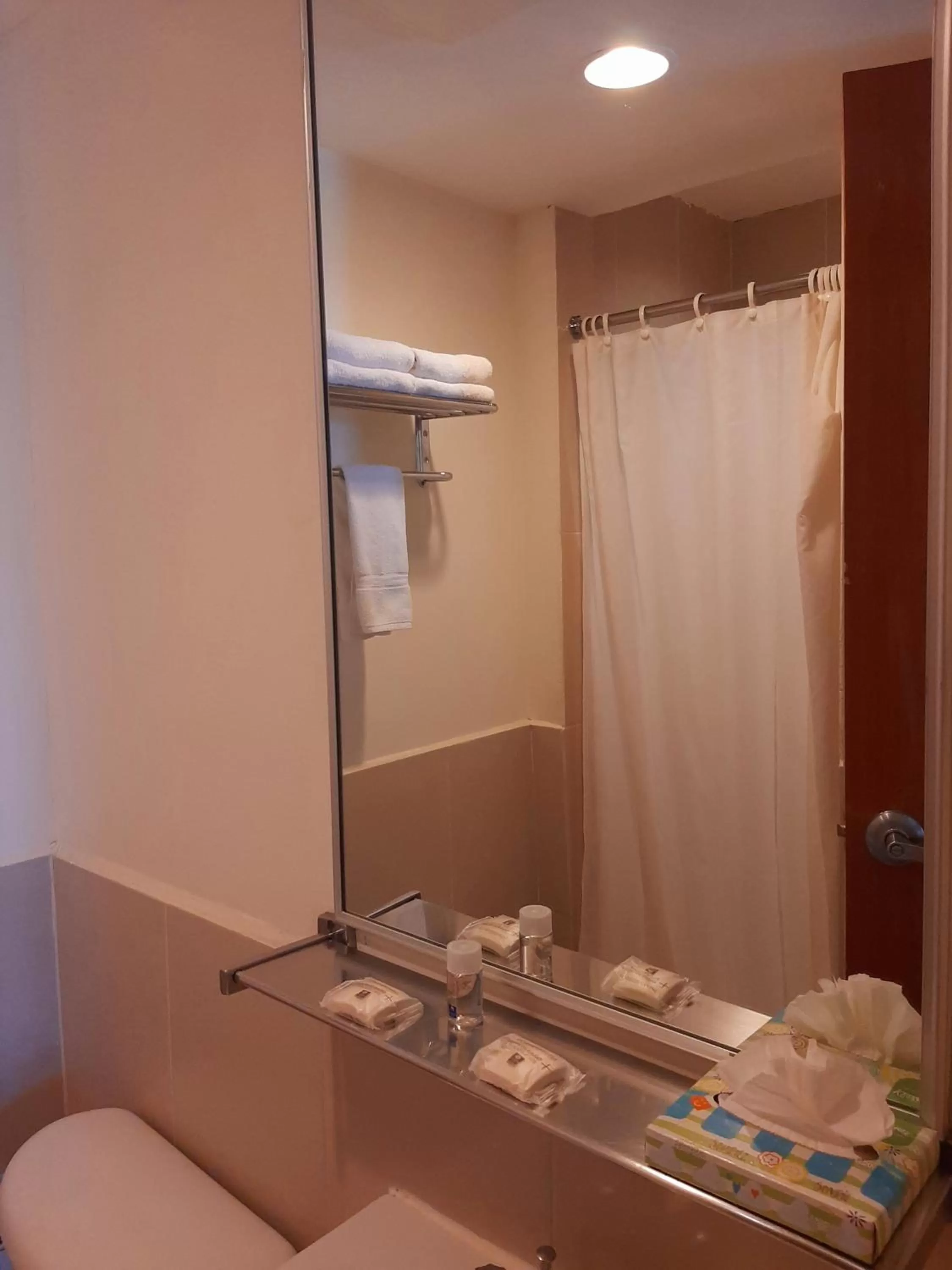 Bathroom in Comfort Inn Real La Union