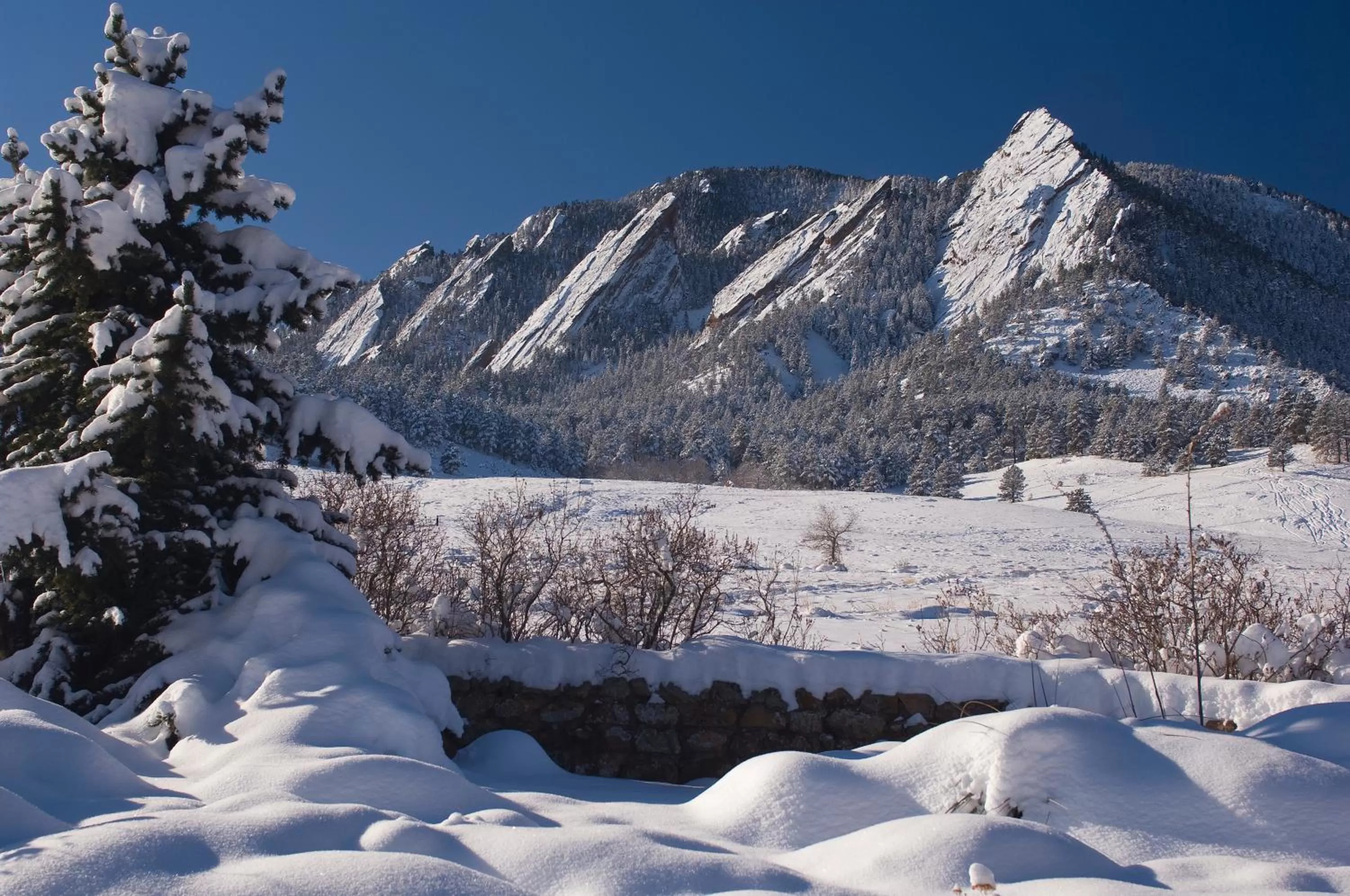 Natural landscape in Colorado Chautauqua Cottages