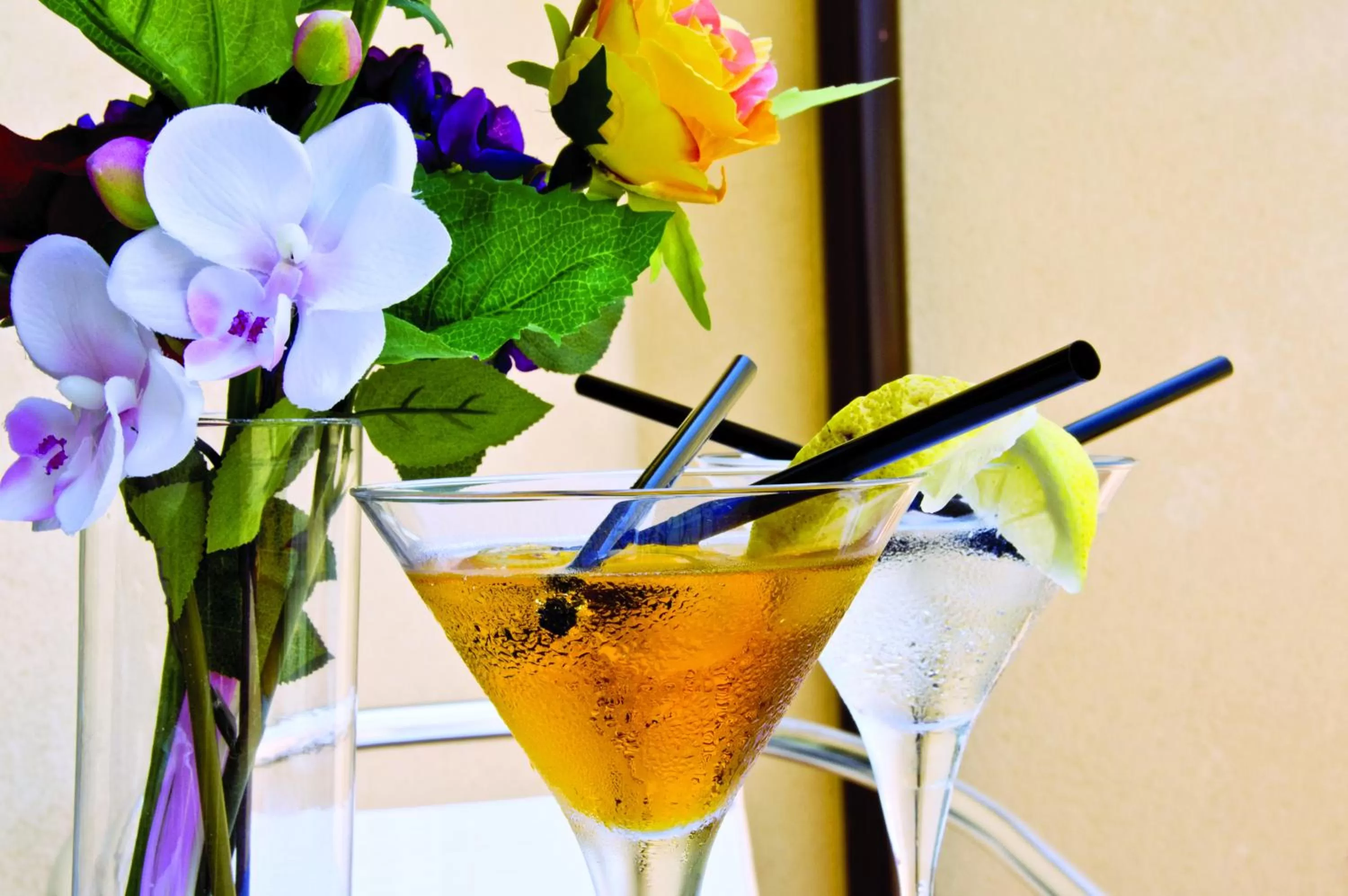 Food and drinks in B&B Albachiara