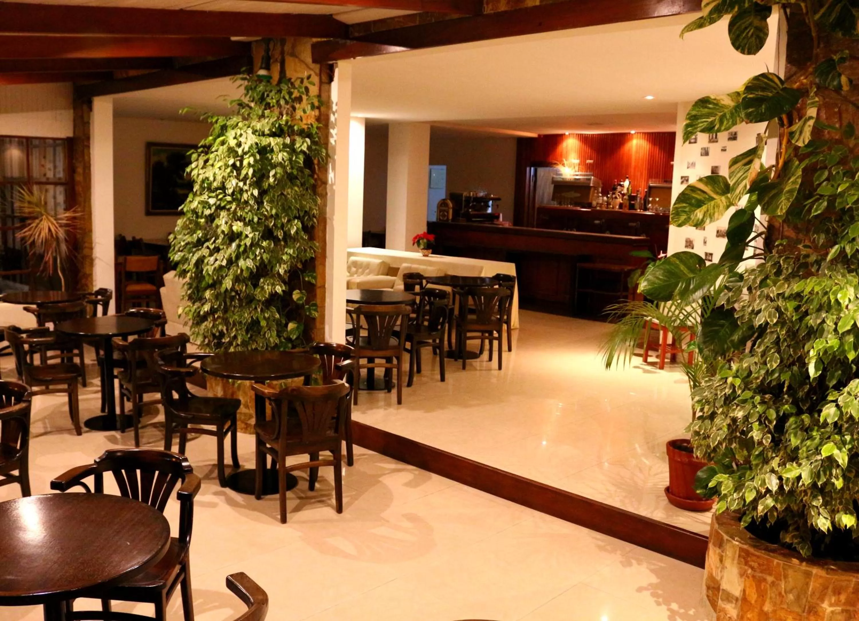 Restaurant/places to eat in Hotel San Martin