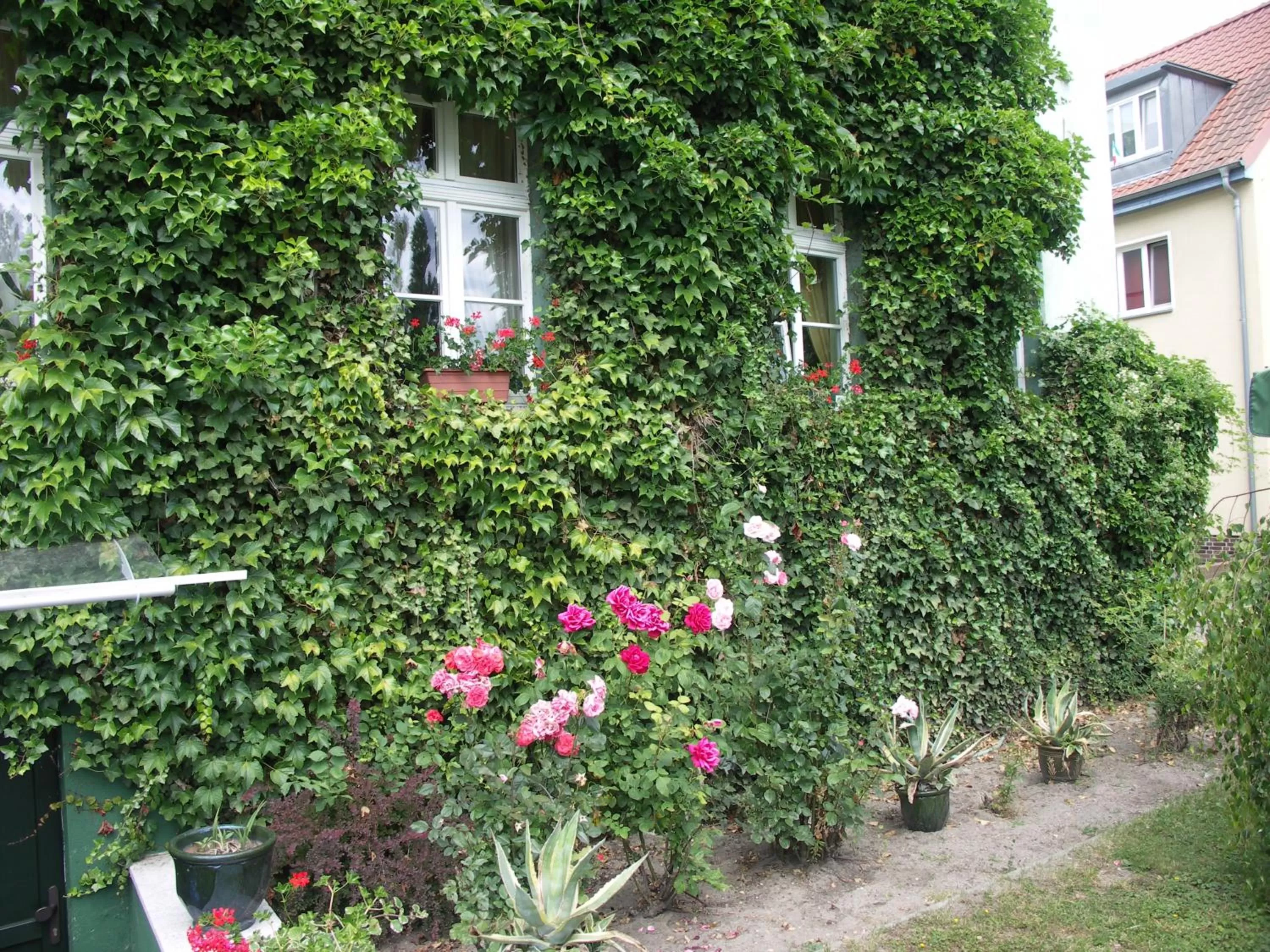 Property building in Hotel Zur Alten Oder- Frankfurt-Oder