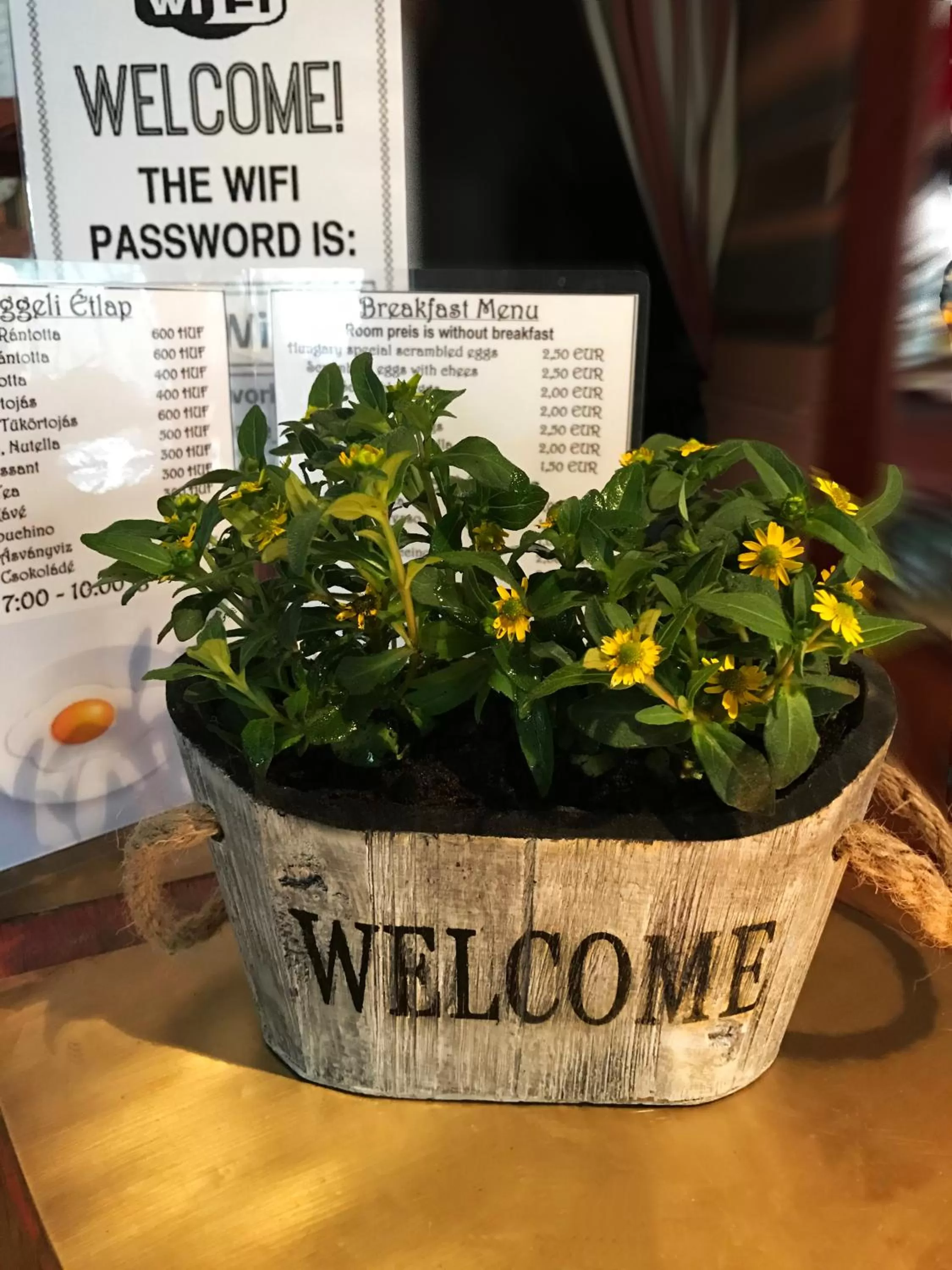 Restaurant/places to eat in Romantik Étterem - Panzió