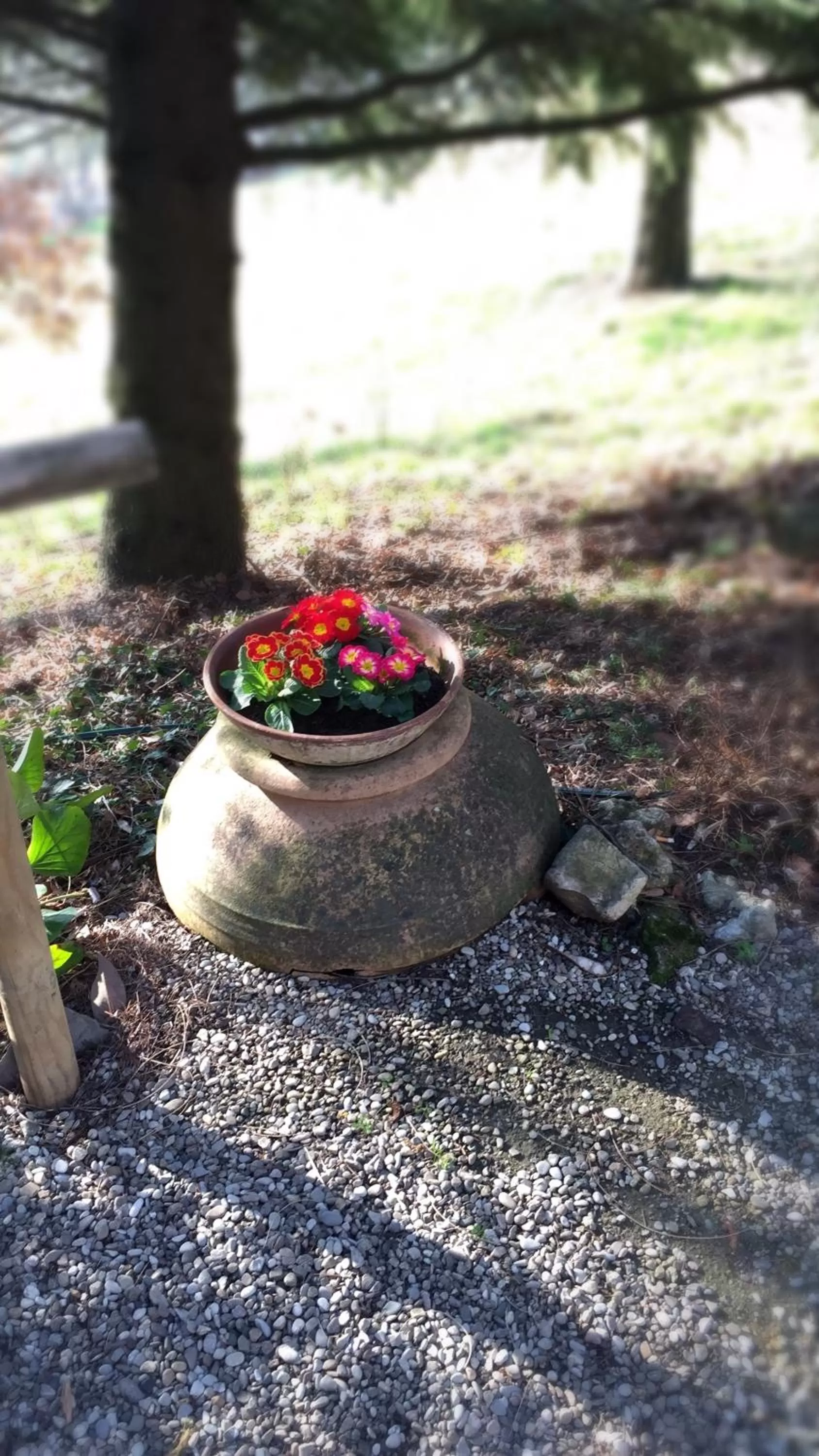 Garden view in Le Querce Hotel